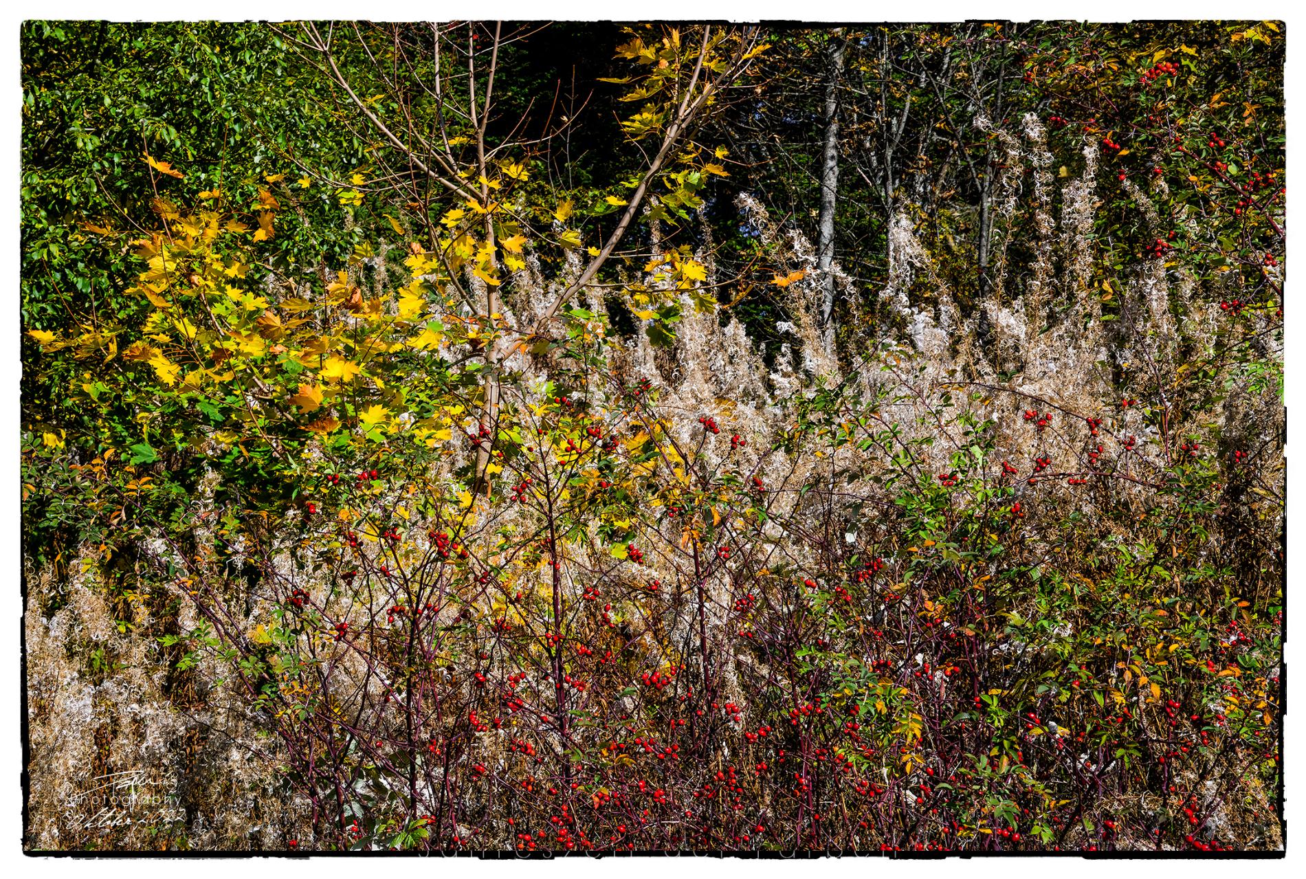 1.10.2022 - HERBSTKOMPOSITION