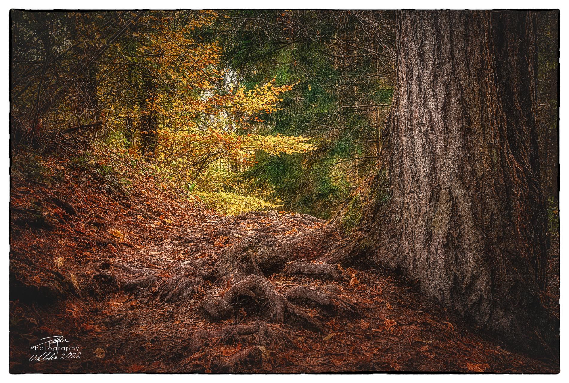 28.10.2022 - Herbstidylle