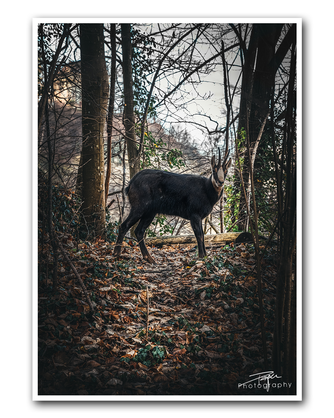 02.01.2023 - Fribourg