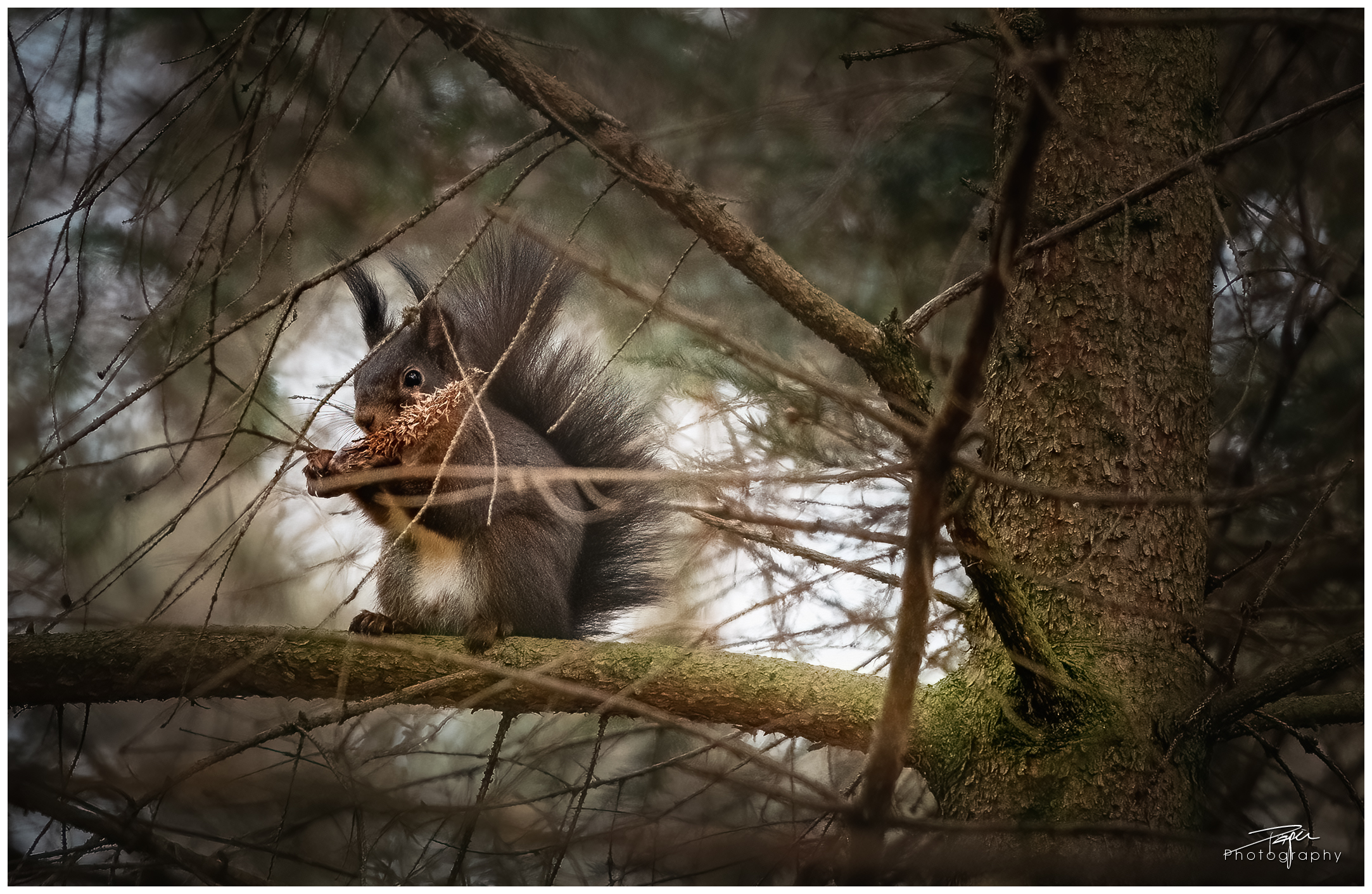 03.04.2023 - Düdinger-Moos