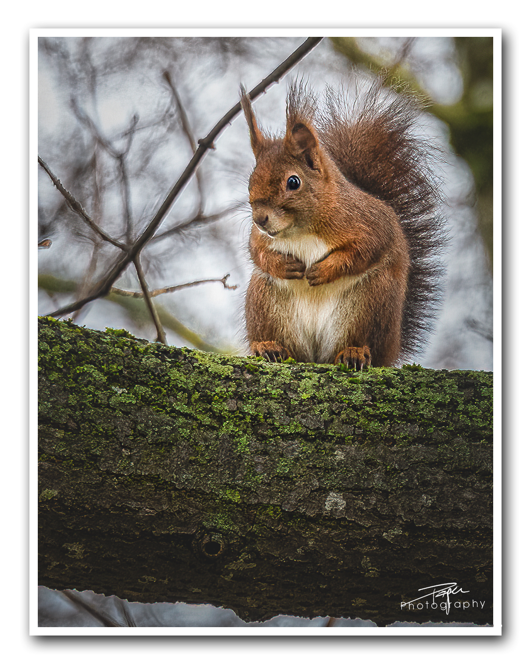 04.01.2023 - Fribourg