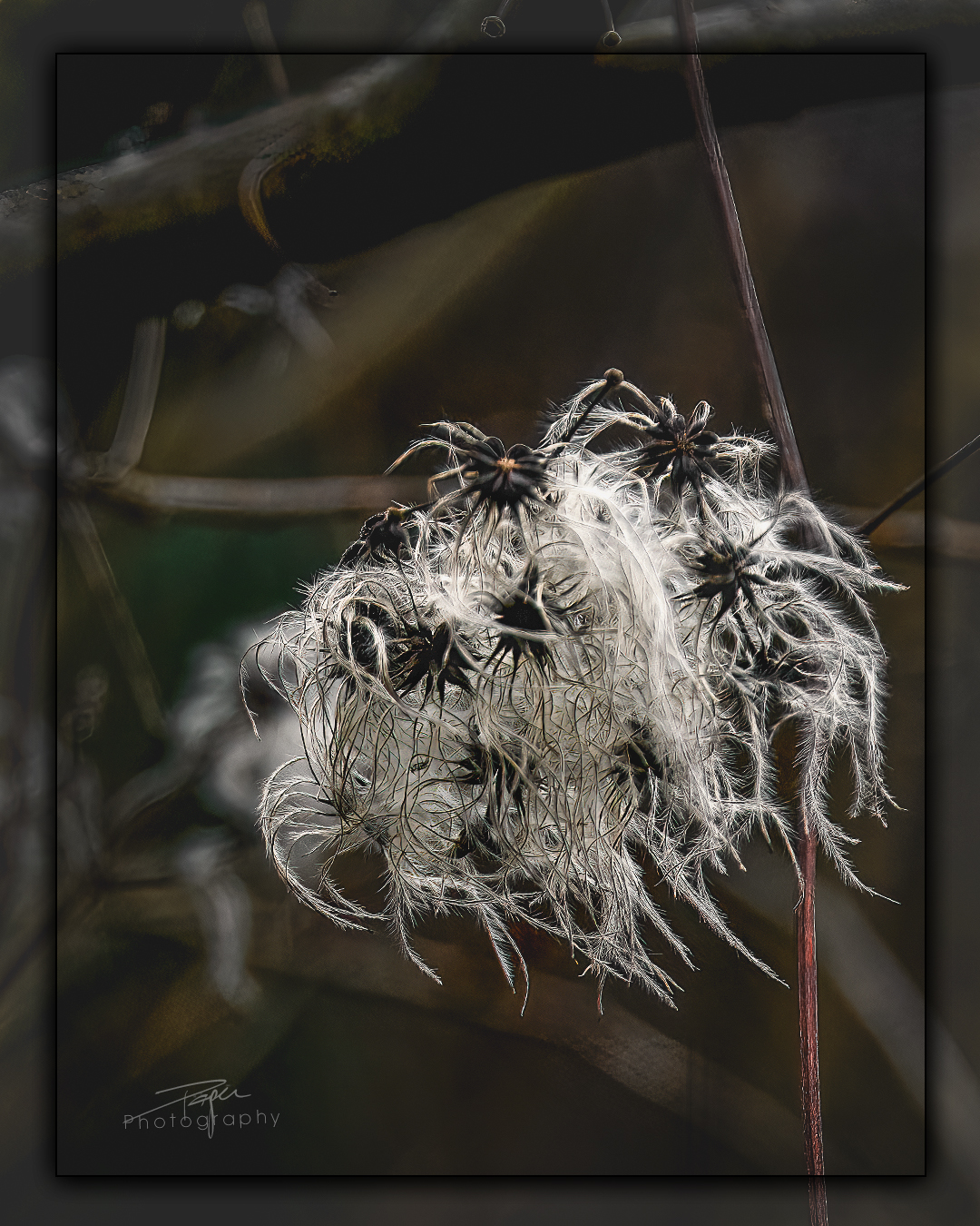 06.02.2023 - Am Flussufer