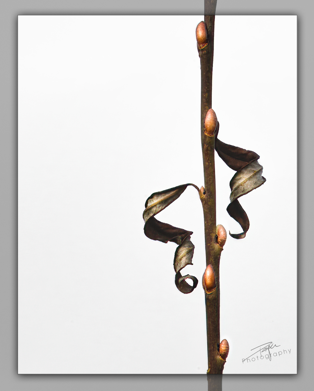 15.02.2023 - Am Seeufer