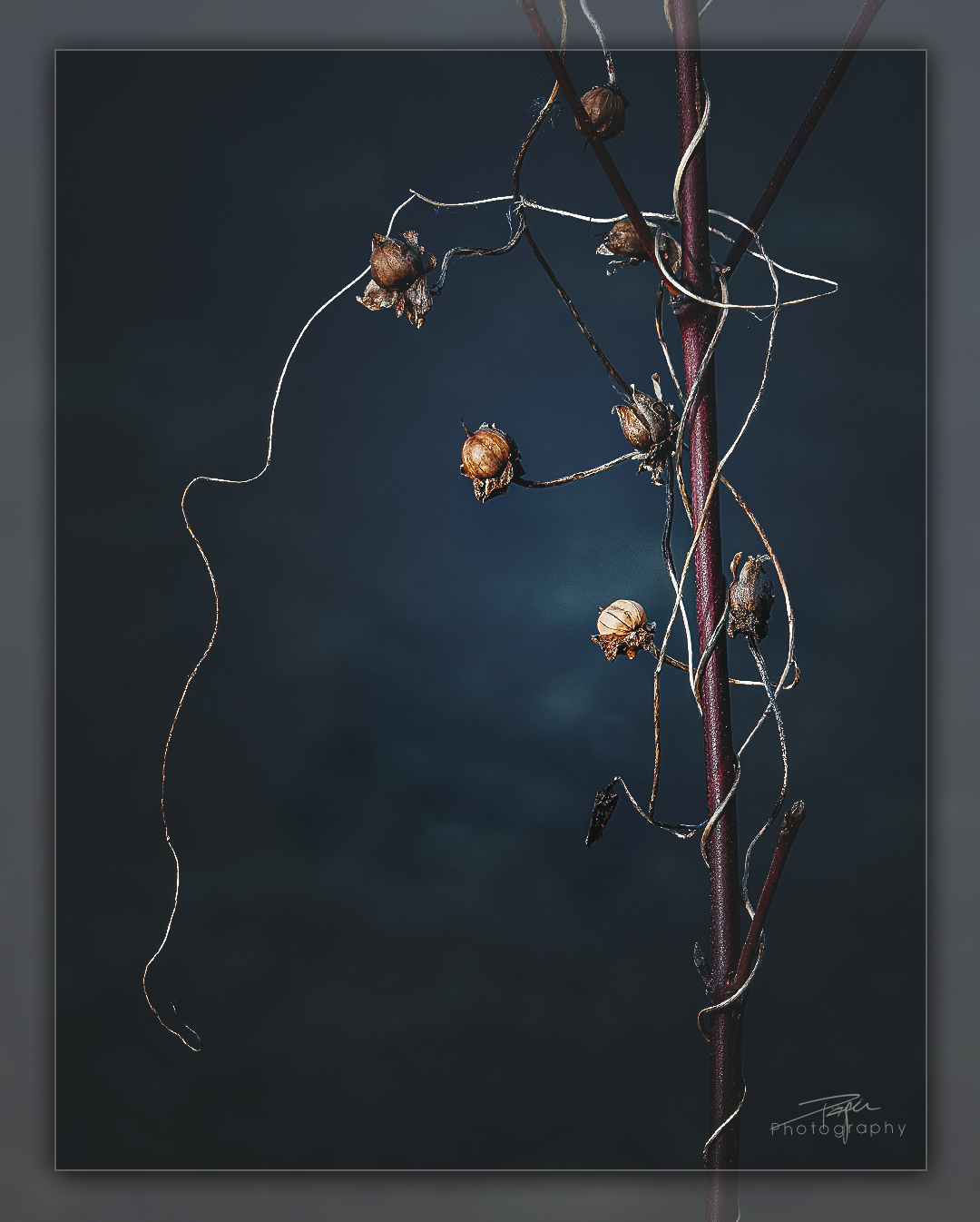 15.02.2023 - Am Seeufer