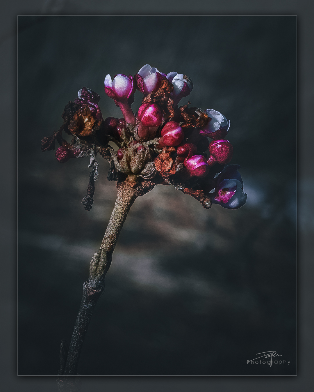 15.02.2023 - Am Seeufer