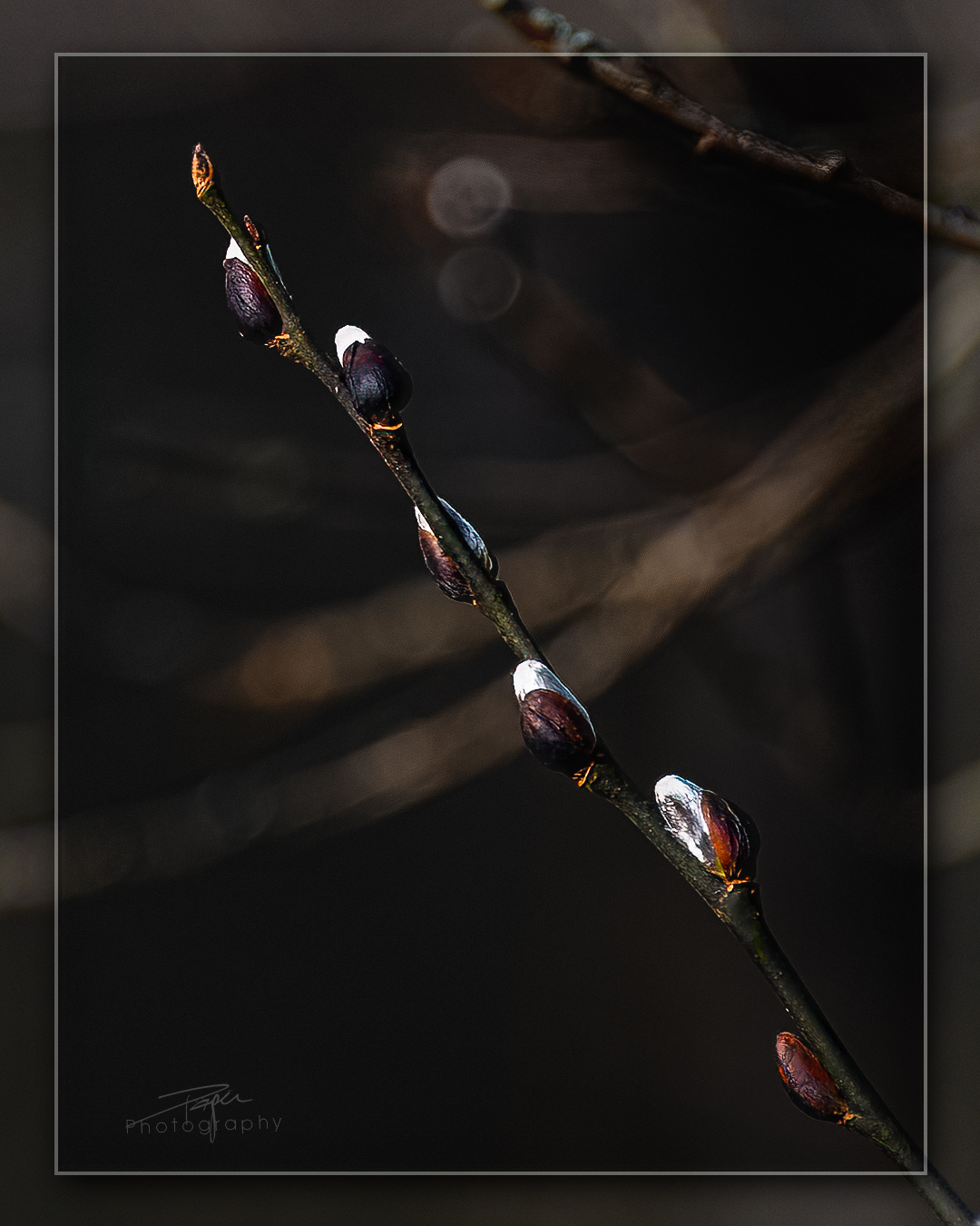 10.01.2023 - 𝑊𝑒𝑖𝑑𝑒𝑘ä𝑡𝑧𝑐ℎ𝑒𝑛 𝑖𝑚 𝑊𝑖𝑛𝑡𝑒𝑟