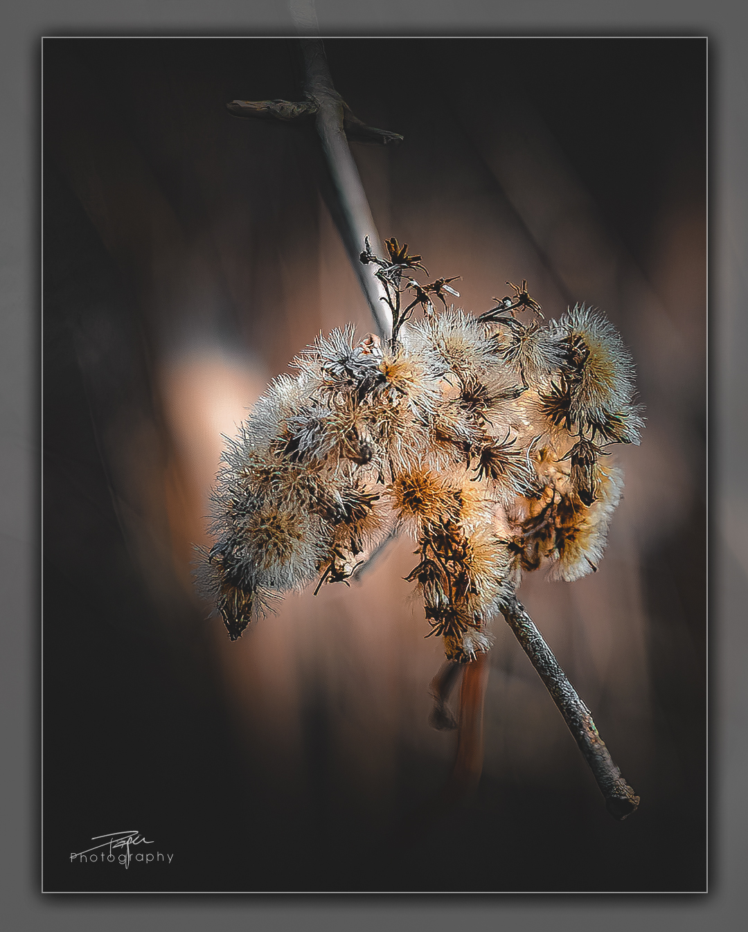 13.02.2023 - Am Seeufer