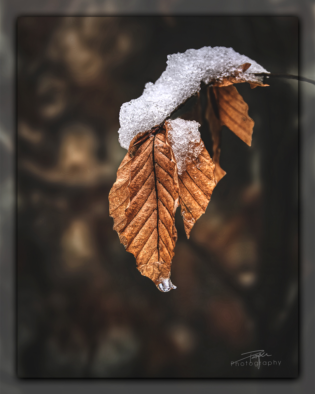 16.01.2023 - Winterimpression