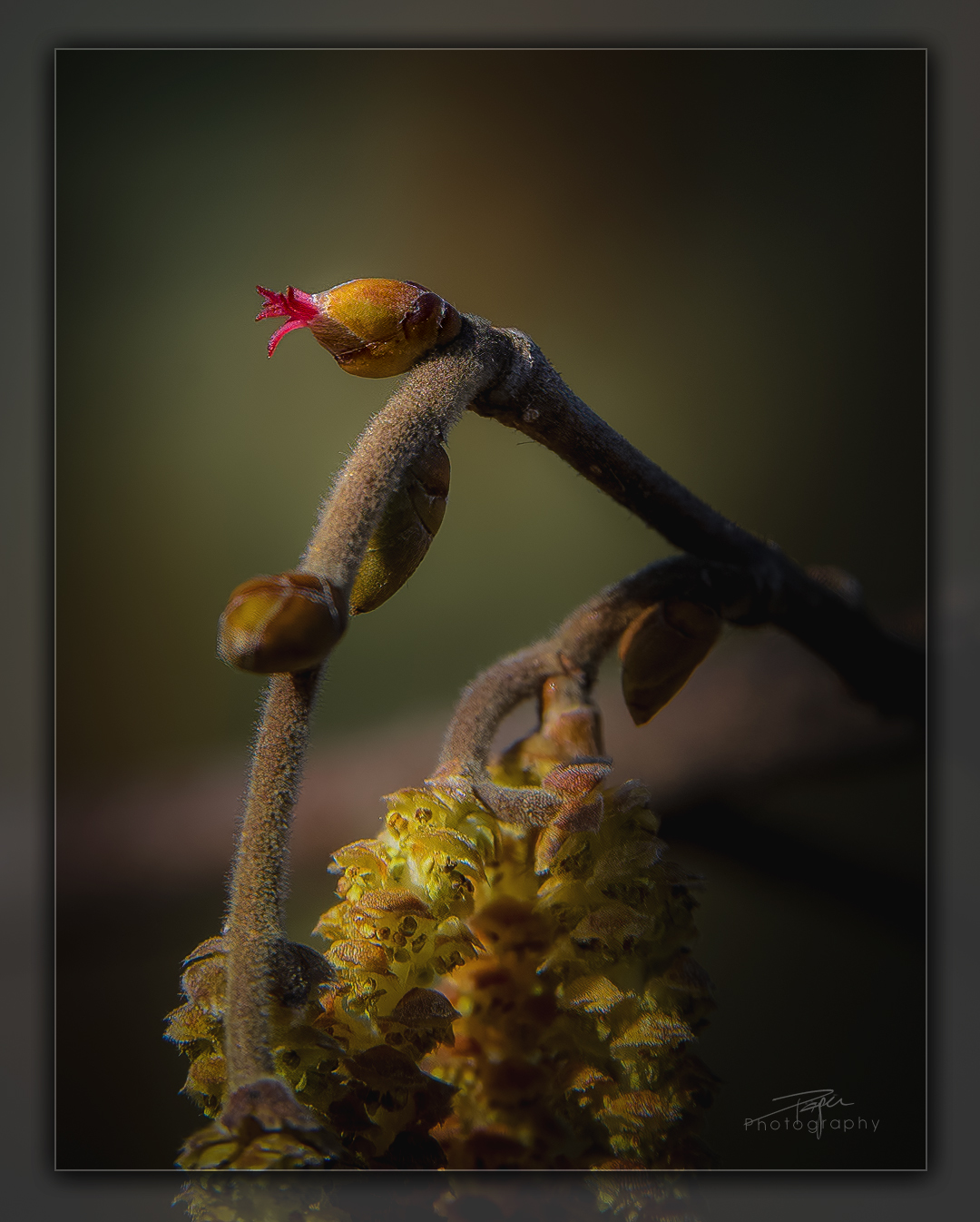 21.02.2023 - Am Waldrand