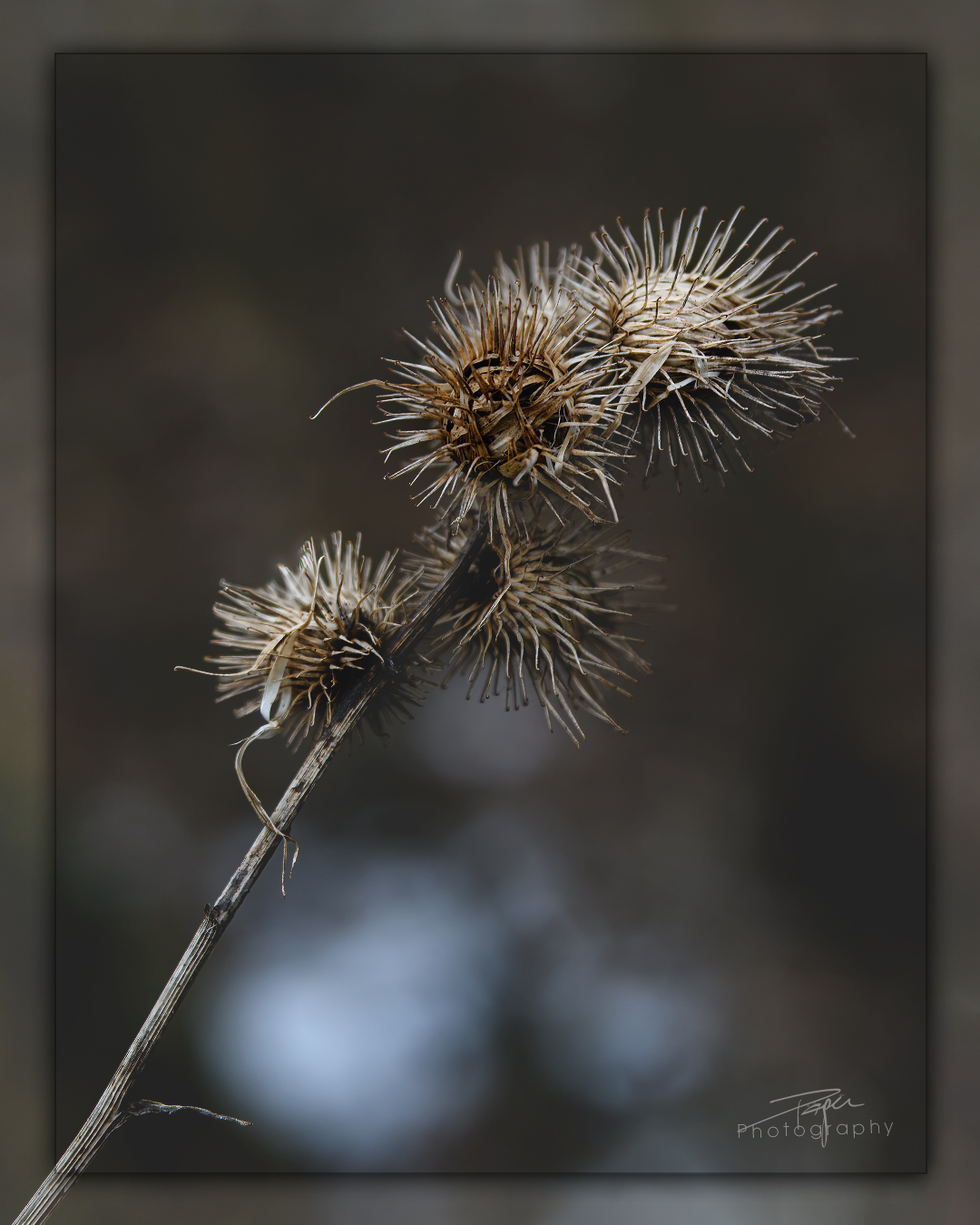 23.01.2023 - Am Flussufer