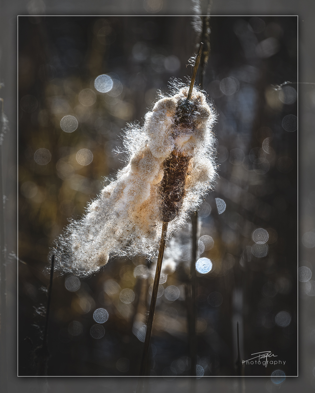 24.02.2023 -  𝙍𝙤𝙝𝙧𝙠𝙤𝙡𝙗𝙚𝙣 «𝙈𝙤𝙤𝙨𝙗𝙪𝙯𝙯𝙚»