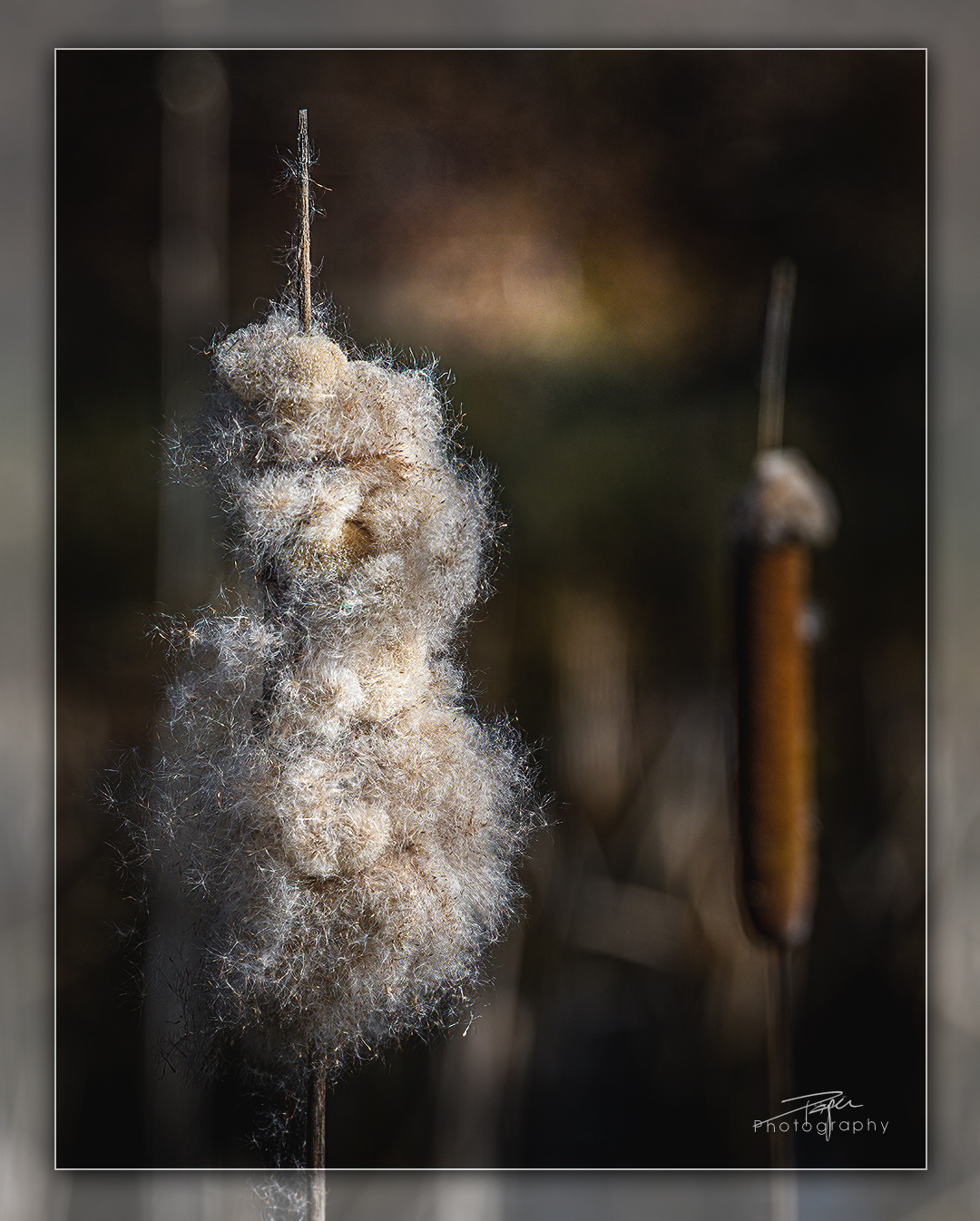 24.02.2023 -  𝙍𝙤𝙝𝙧𝙠𝙤𝙡𝙗𝙚𝙣 «𝙈𝙤𝙤𝙨𝙗𝙪𝙯𝙯𝙚»