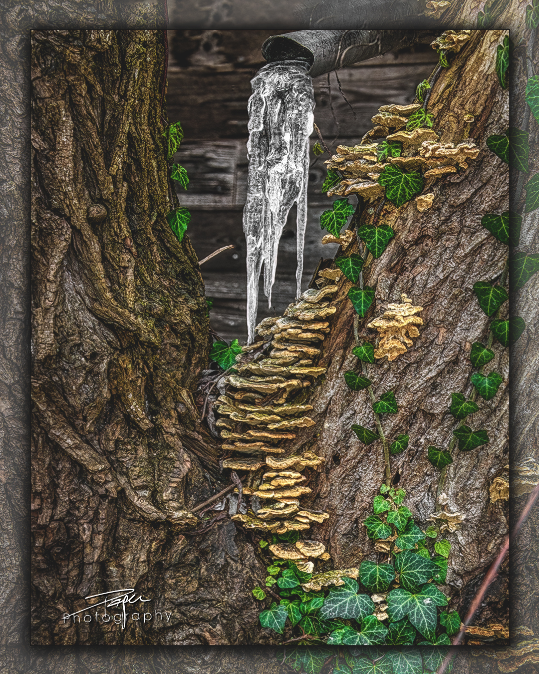 23.01.2023 - Winterzeit