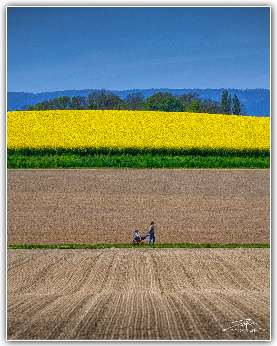 03.05.2023 - Frühling