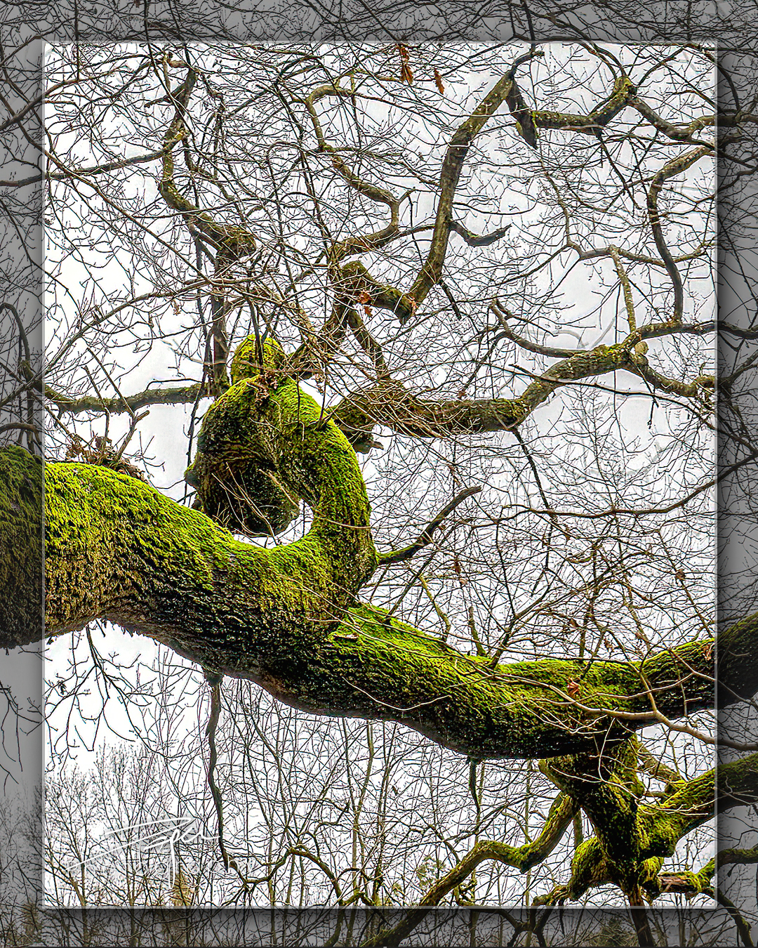 09.01.2023 - 𝐷𝑎𝑠 𝐵𝑎𝑢𝑚-𝑁𝑒𝑡𝑧𝑤𝑒𝑟𝑘