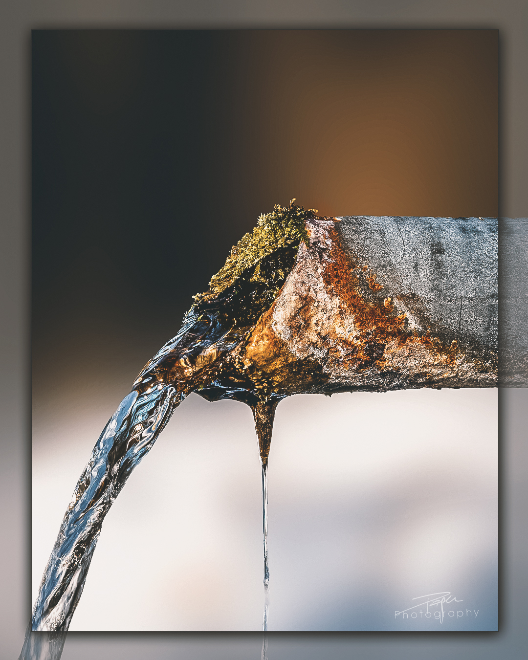 30.01.2023 - Close Up Fotografie