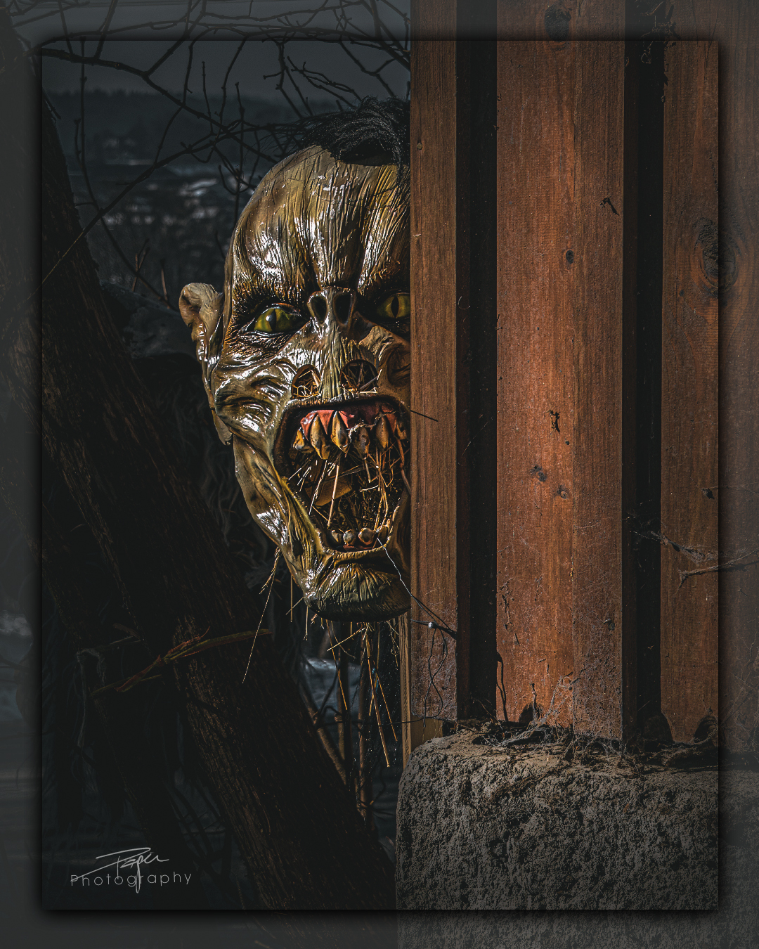 30.01.2023 - Vogelnest