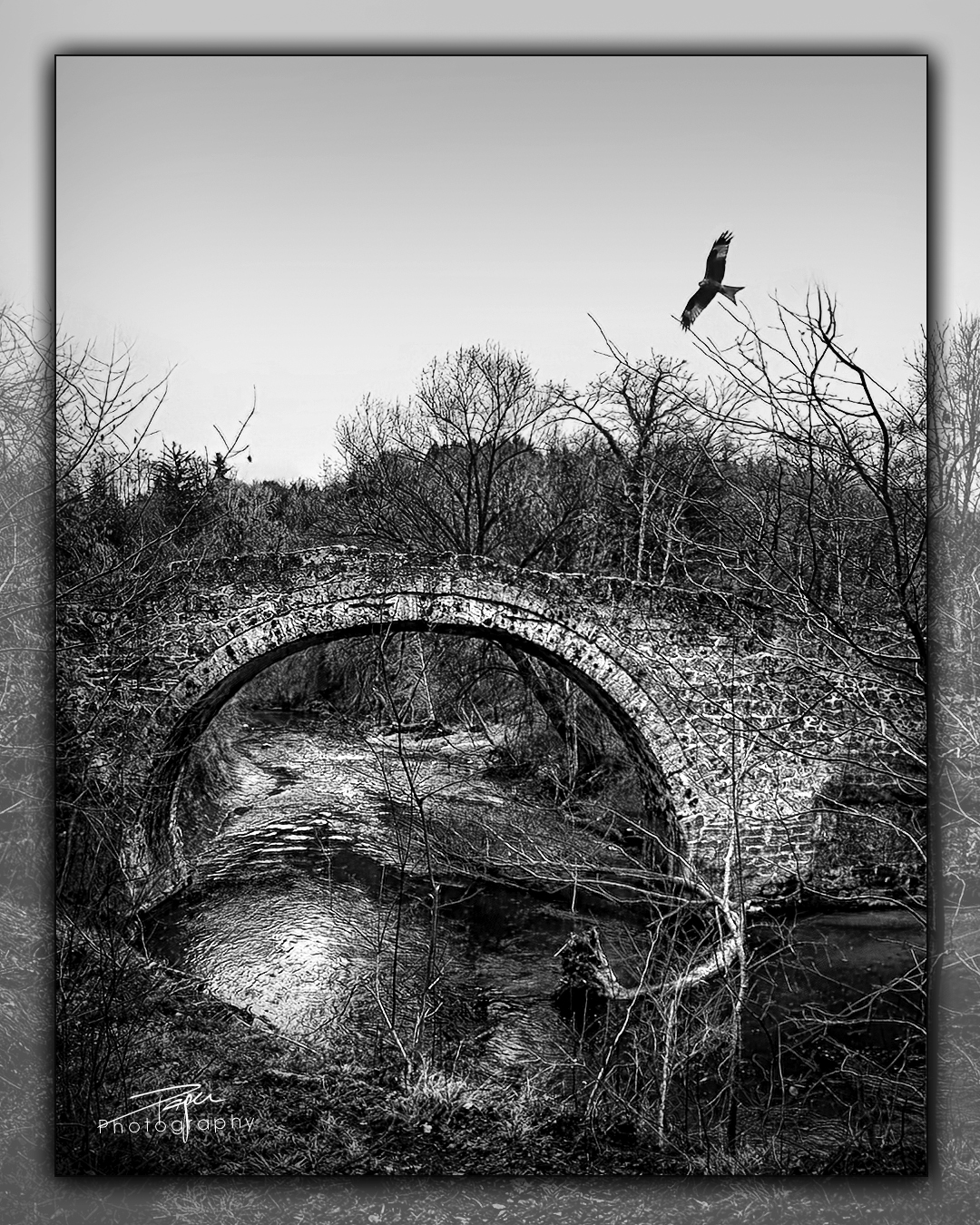 06.02.2023 - Ste-Apolline Brücke (Villars-sur-Glâne)