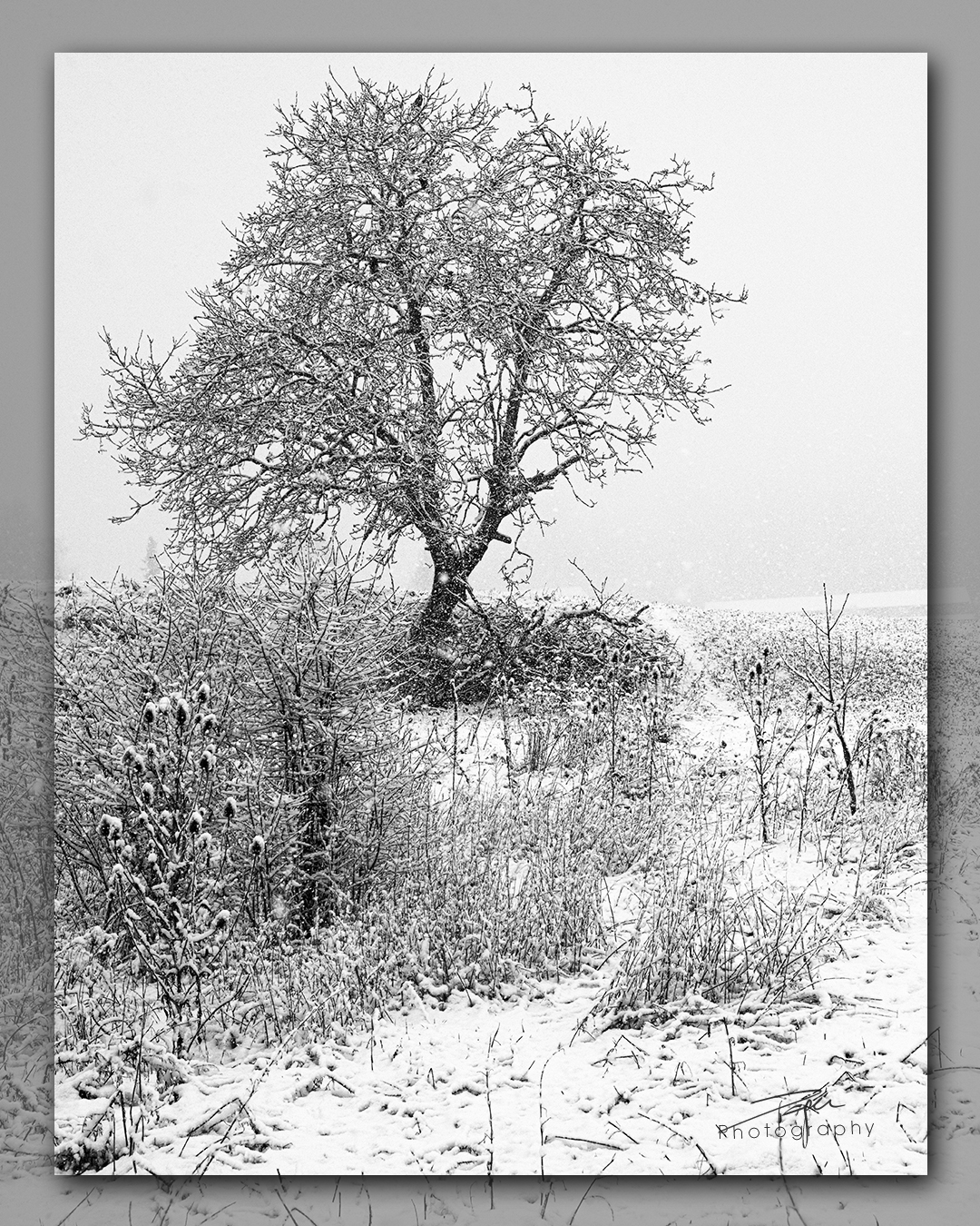 17.01.2023 - Rüti, Düdingen