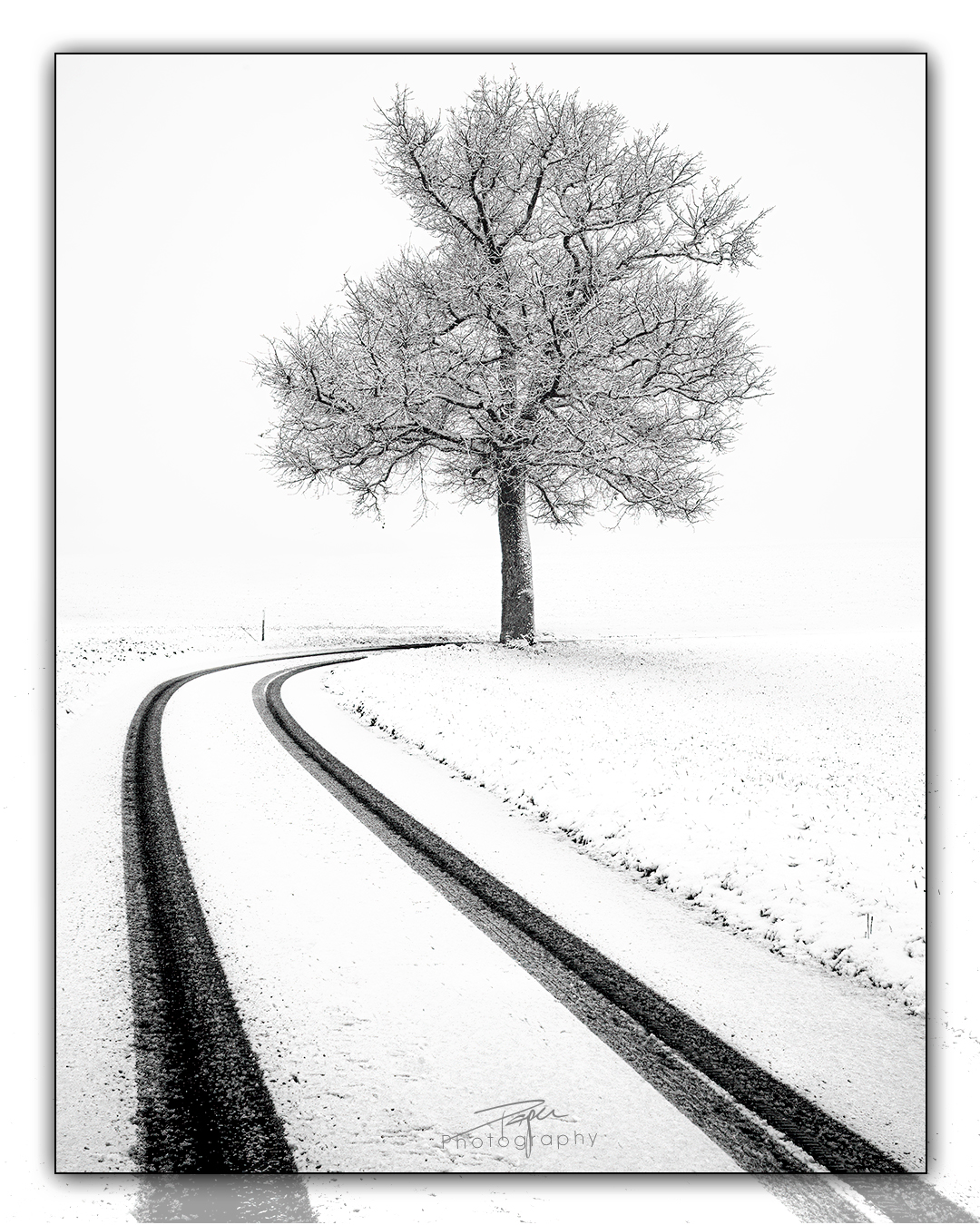 18.01.2023 - Rüti, Düdingen