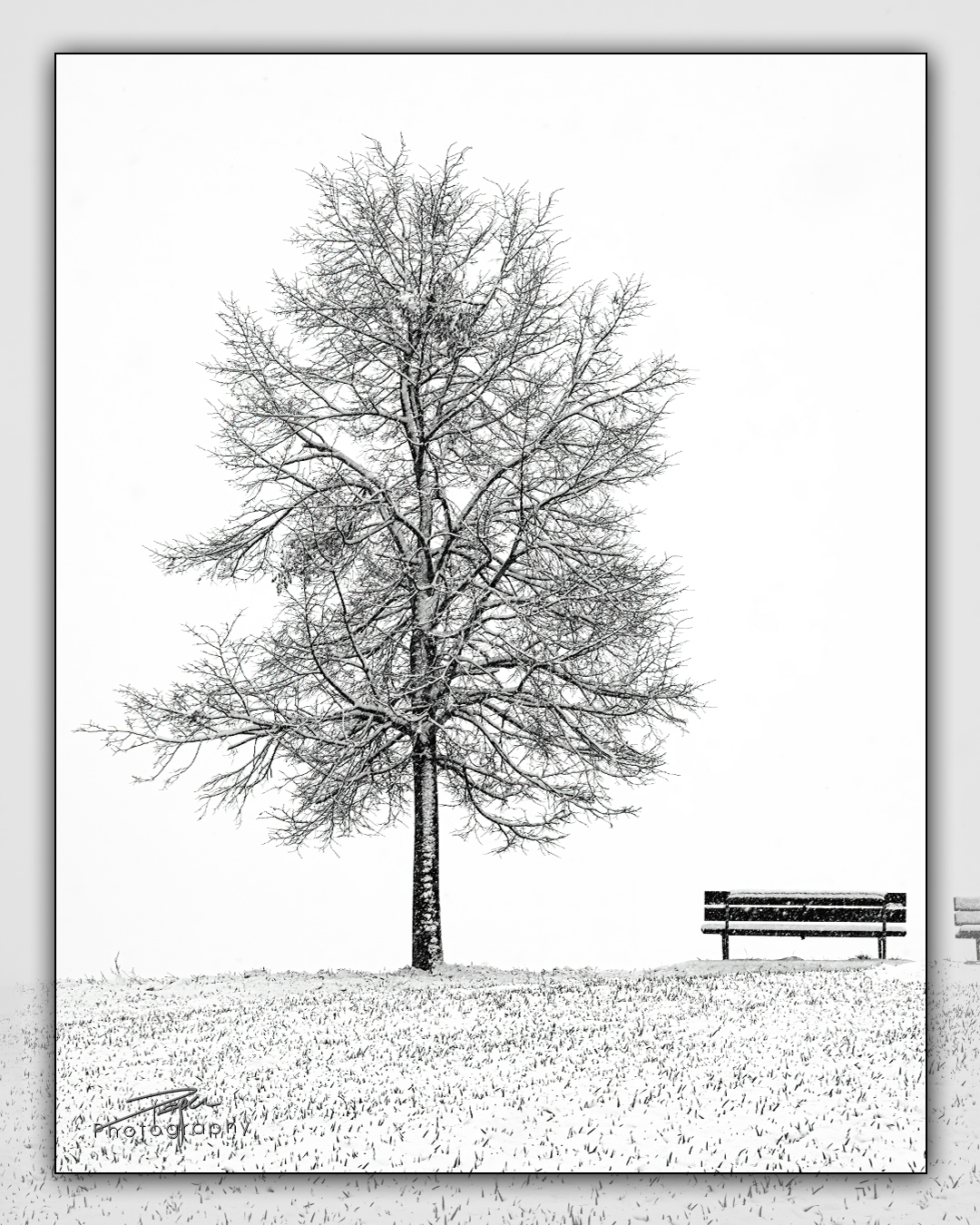 18.01.2023 - Rüti, Düdingen