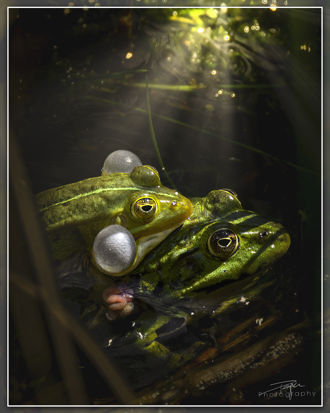 07.06.2024- Frühling