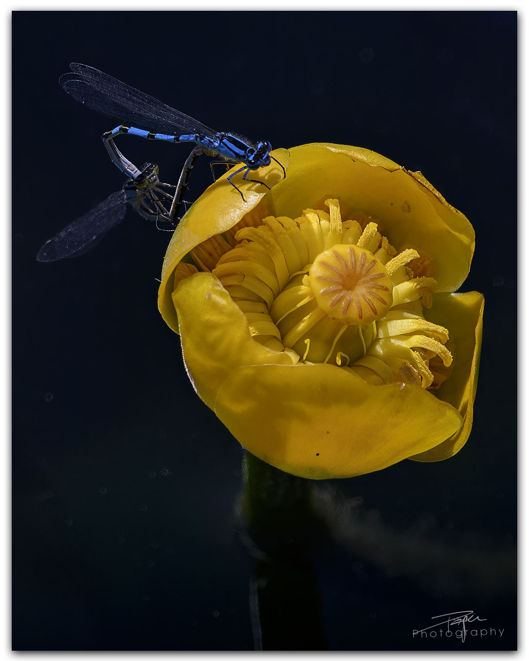 04.06.2024 - Frühling