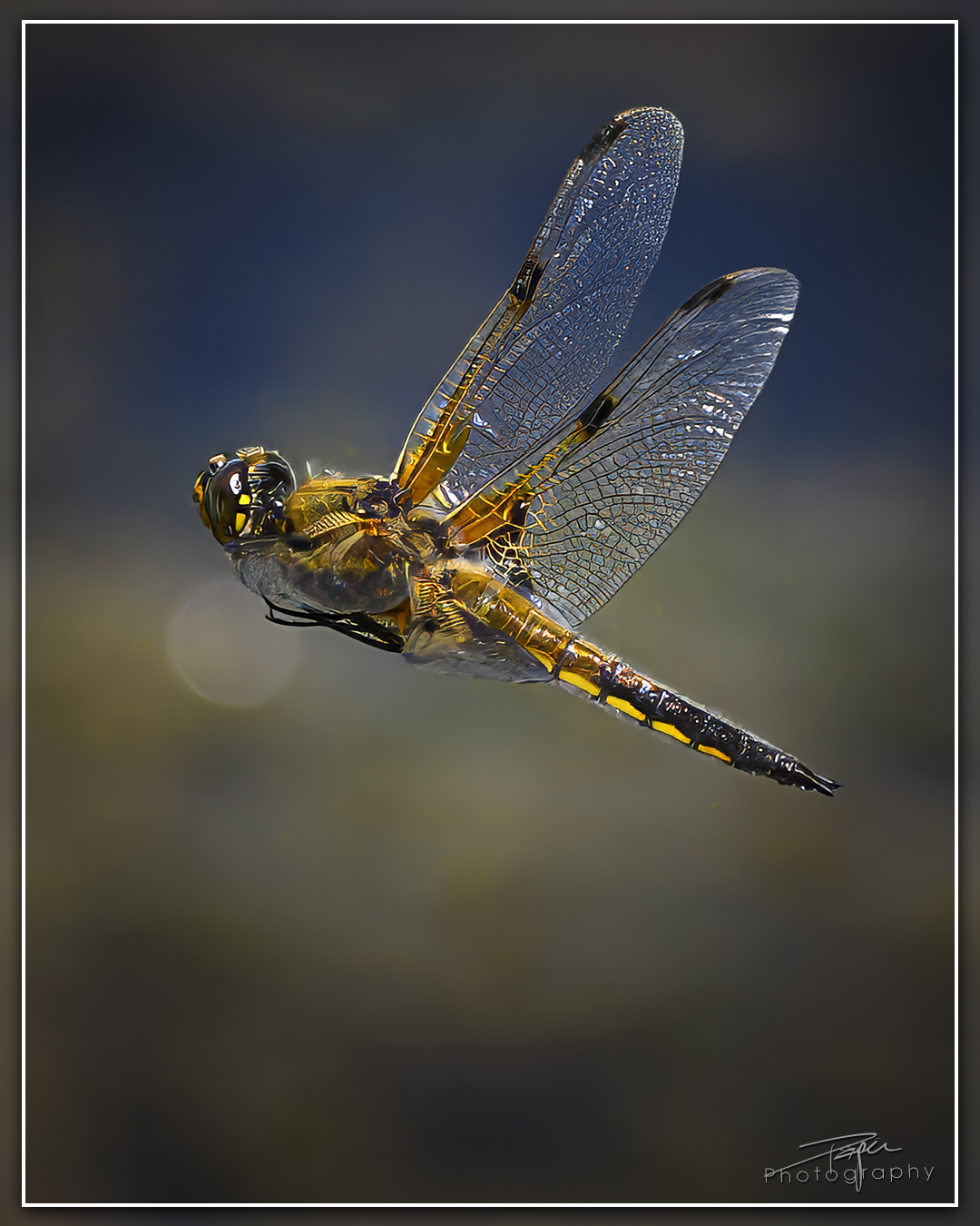 18.06.2024 - Frühling