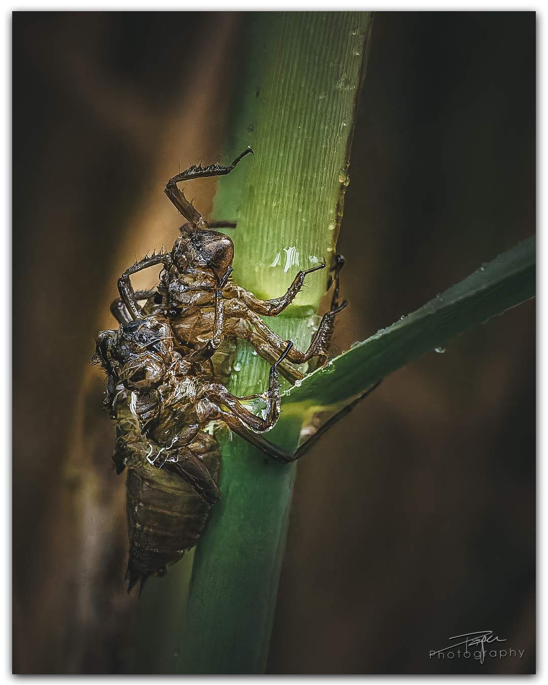 24.05.2024 - Frühling