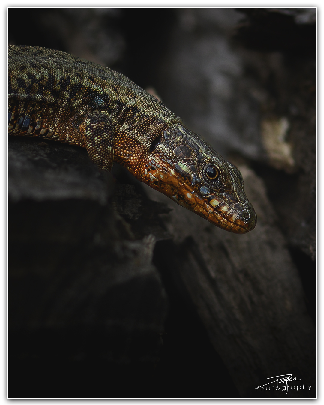 08.04.2024 - Frühling