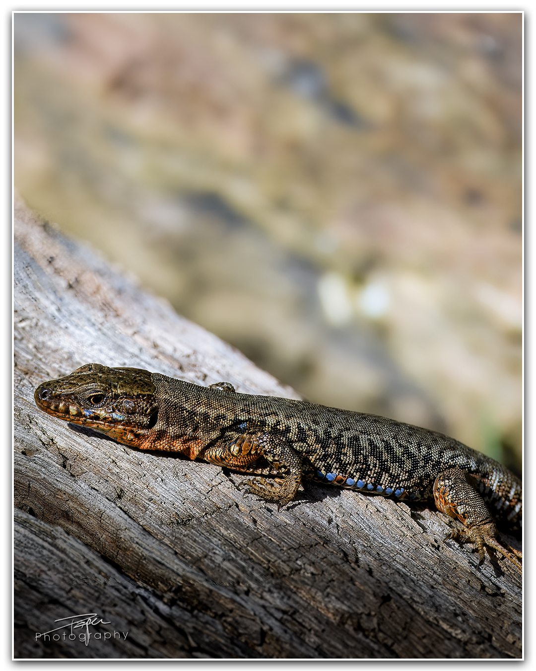 21.03.2024 - Frühling