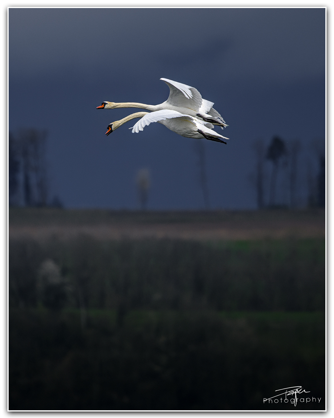 03.04.2024- Frühling