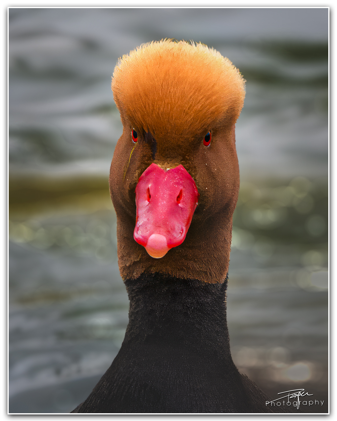 03.04.2024- Frühling