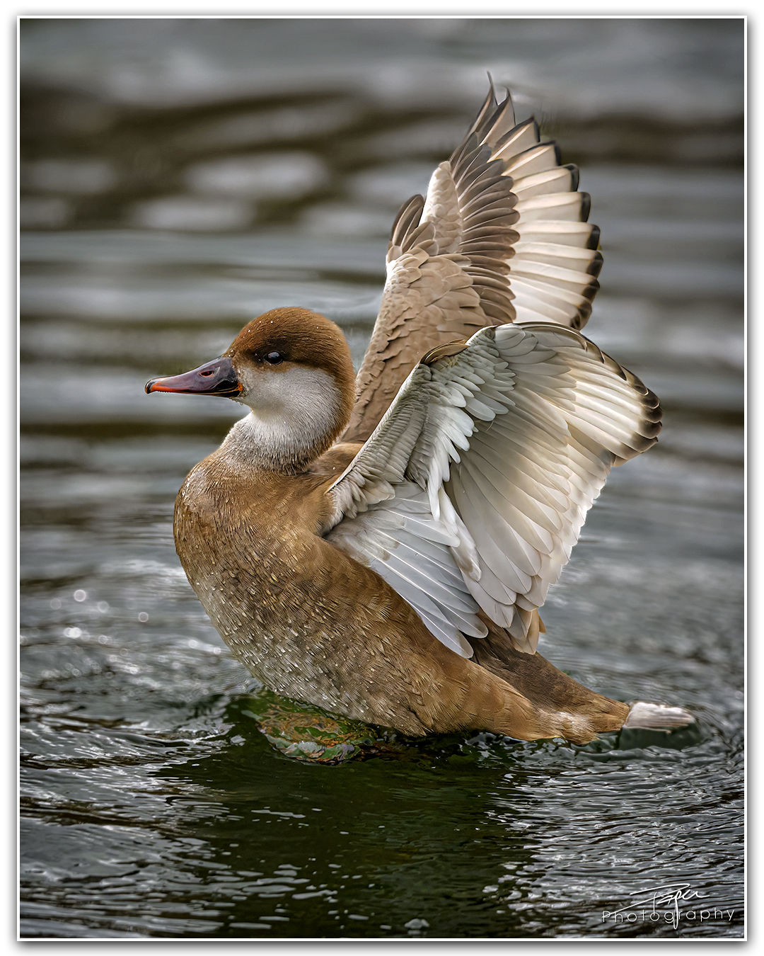 03.04.2024- Frühling