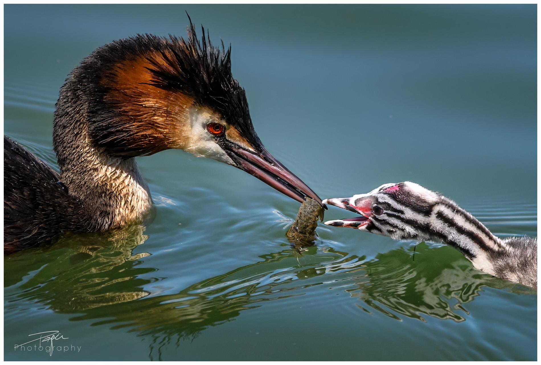 05.06.2024- Frühling