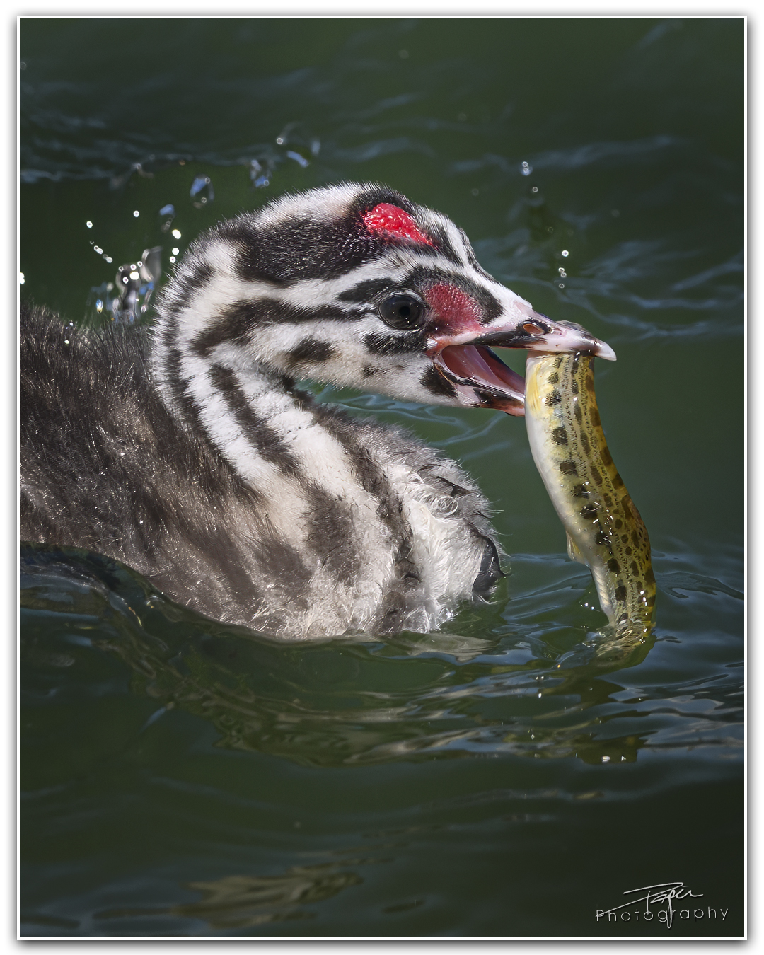 04.06.2024- Frühling