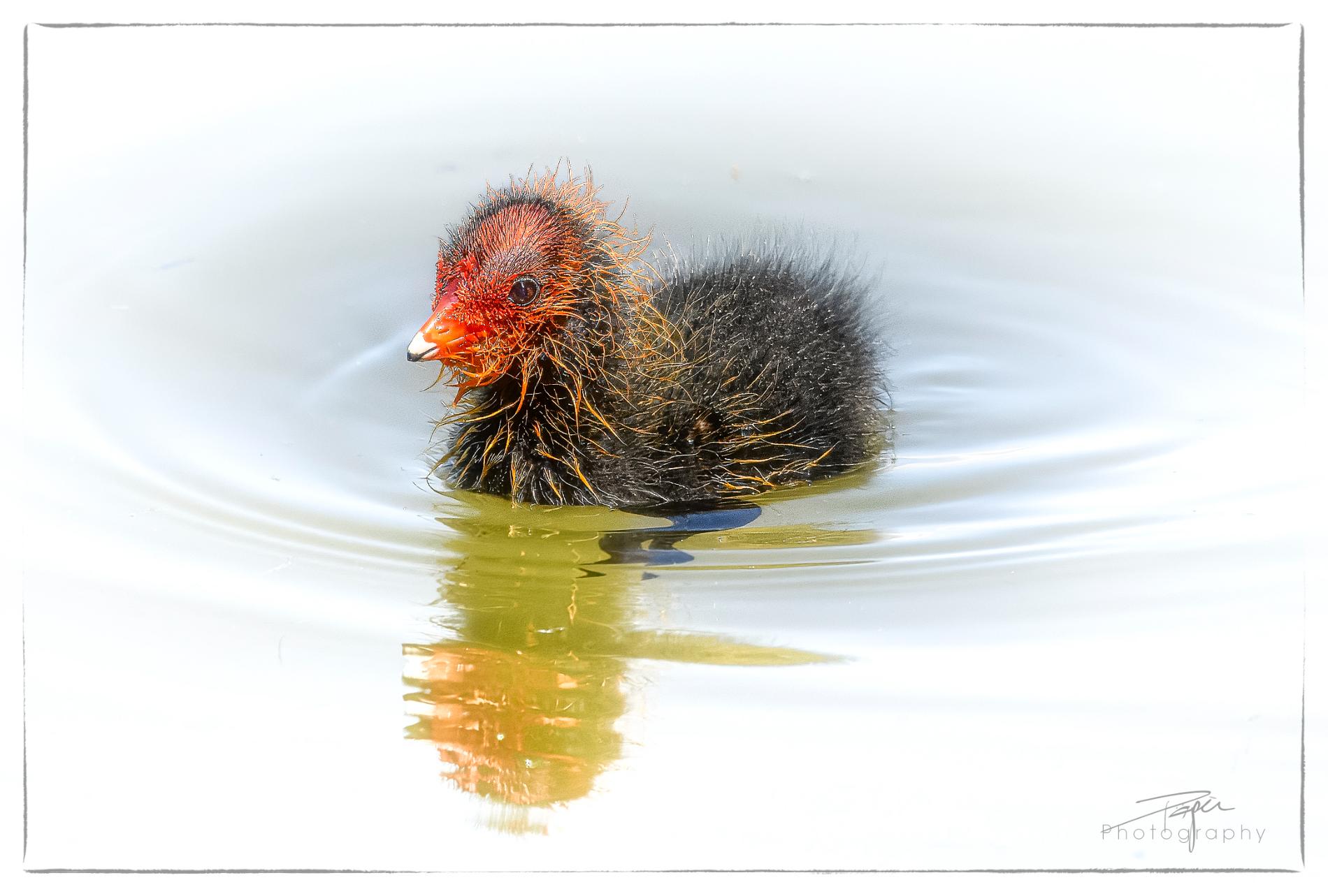 04.06.2024- Frühling