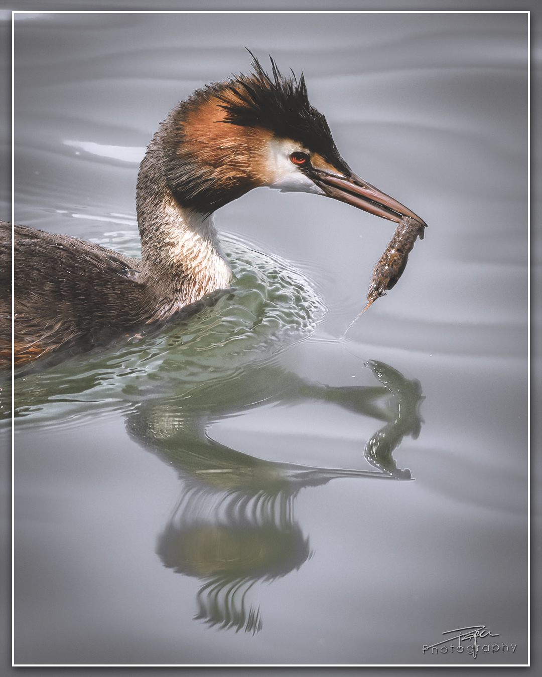 05.06.2024- Frühling