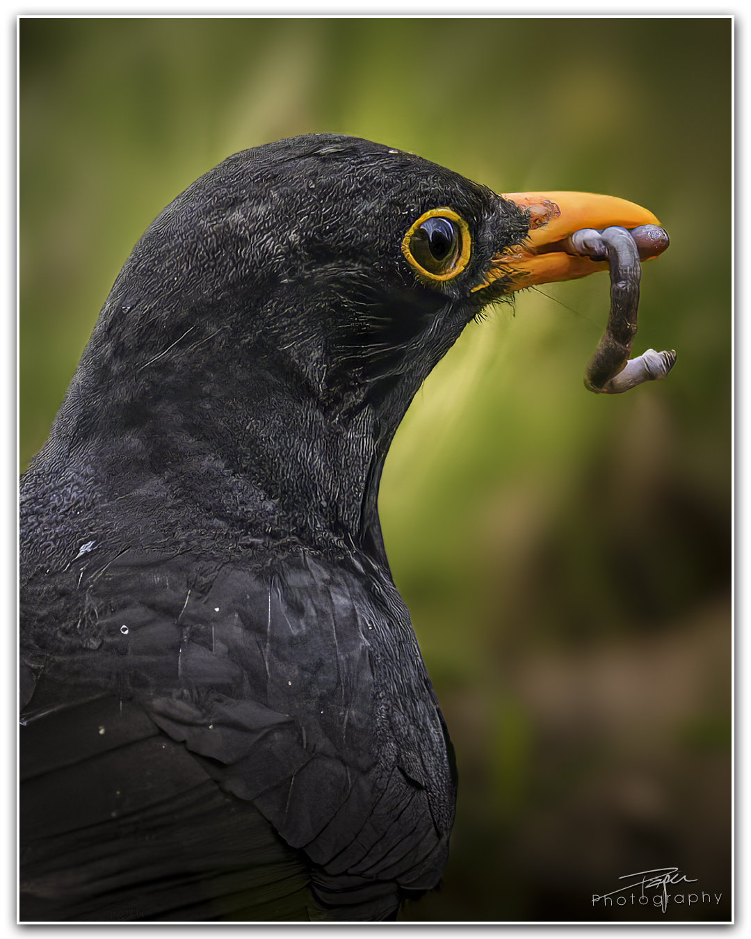 07.05.2024- Frühling
