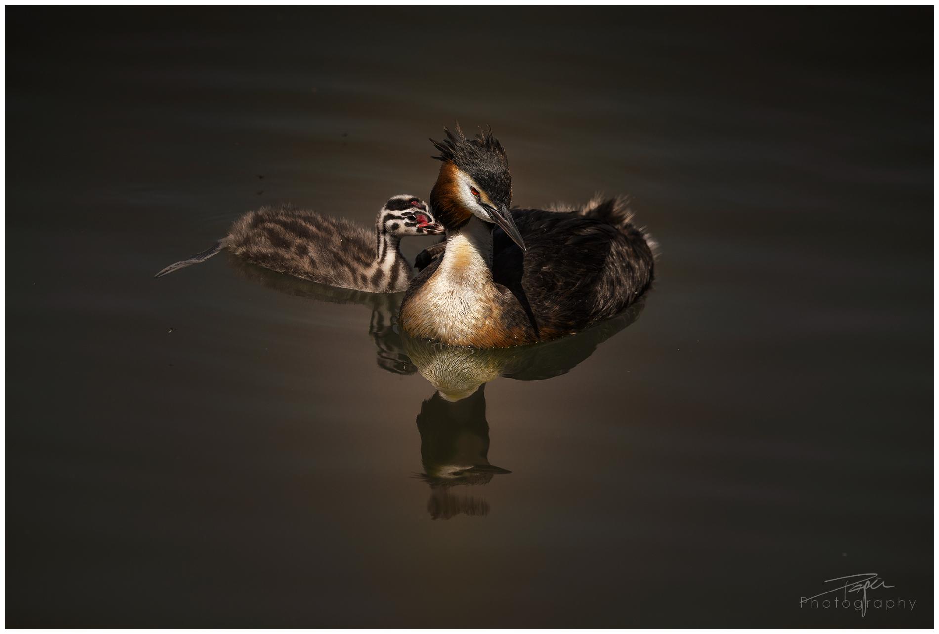 07.06.2024- Frühling