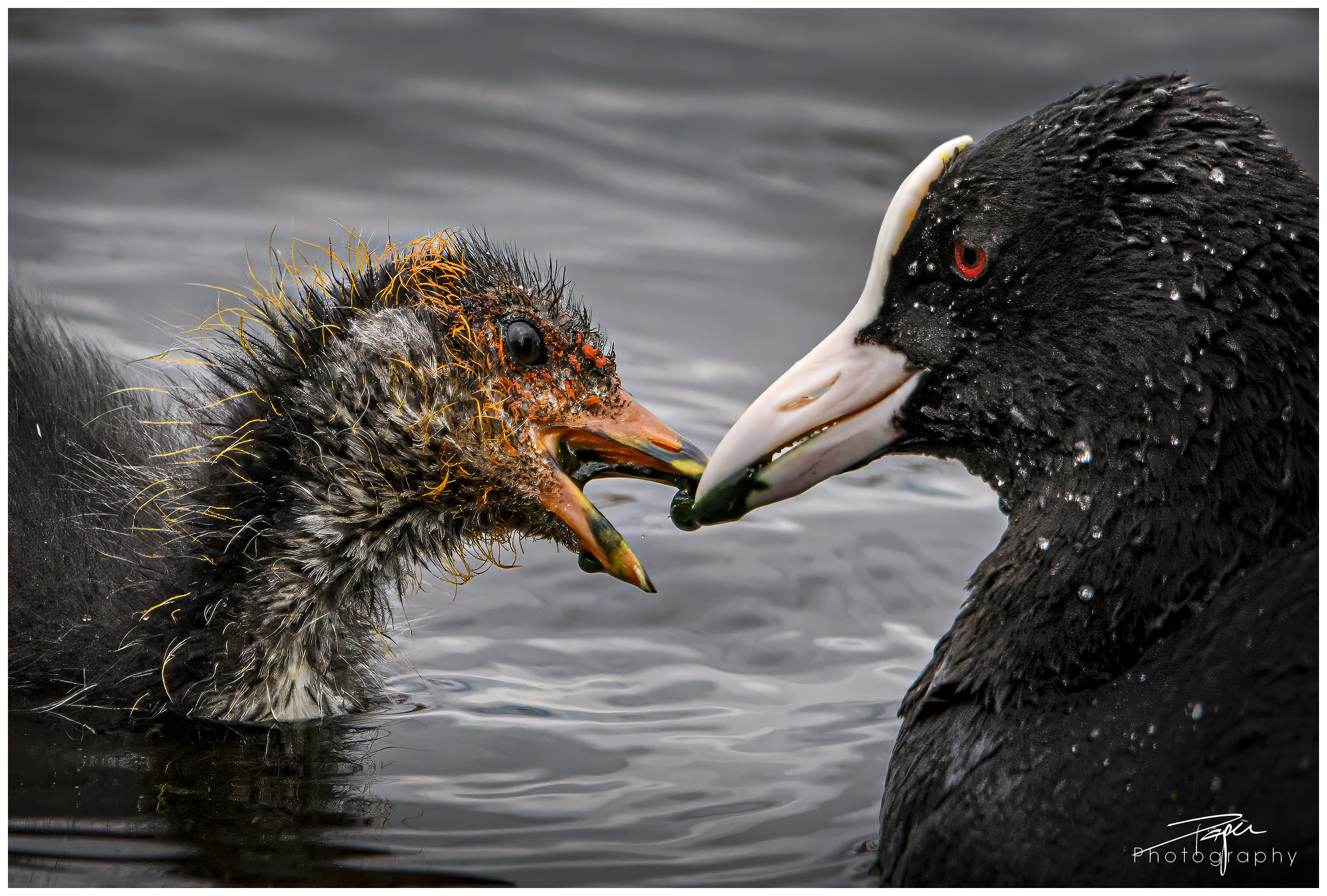 08.05.2024- Frühling