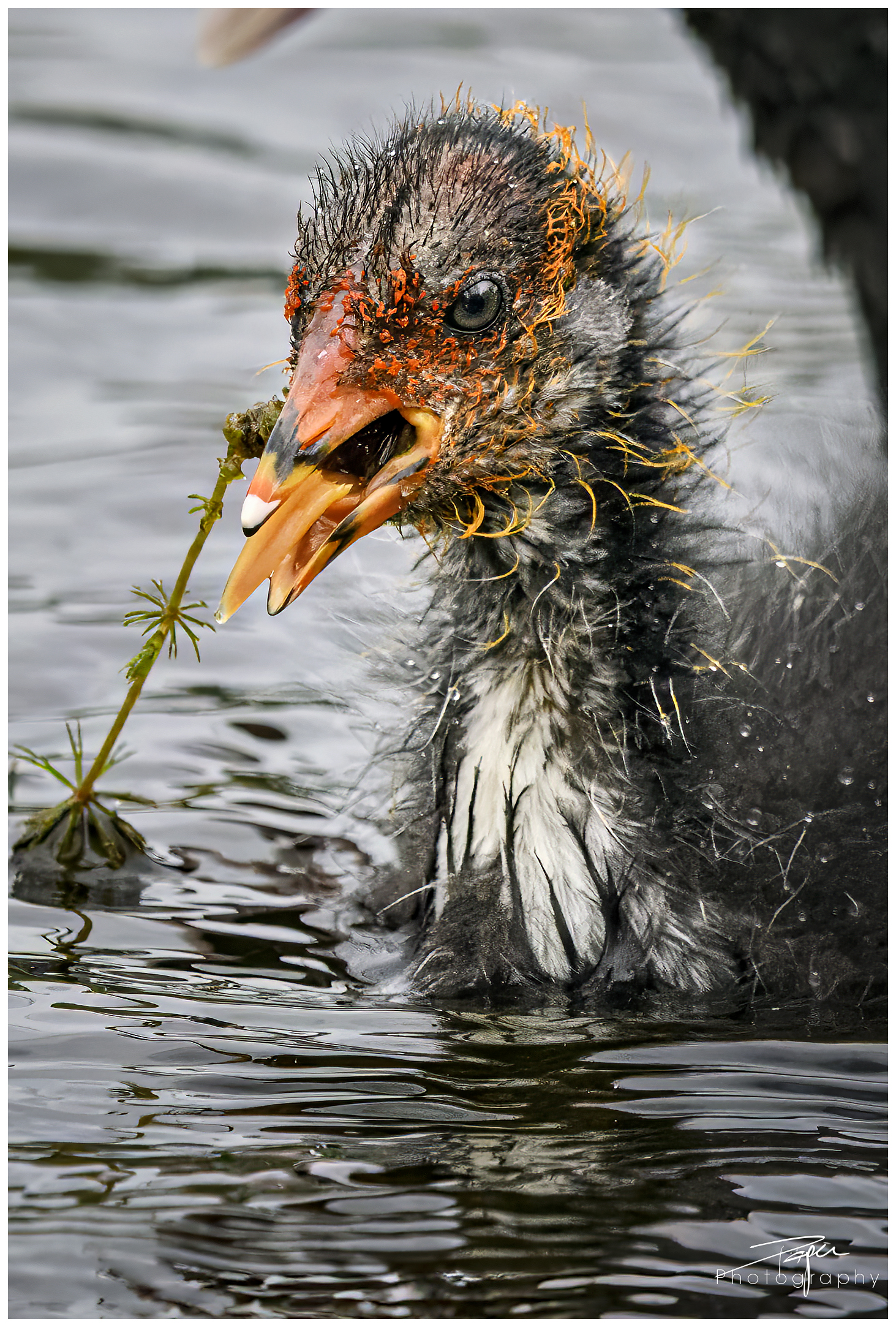08.05.2024- Frühling
