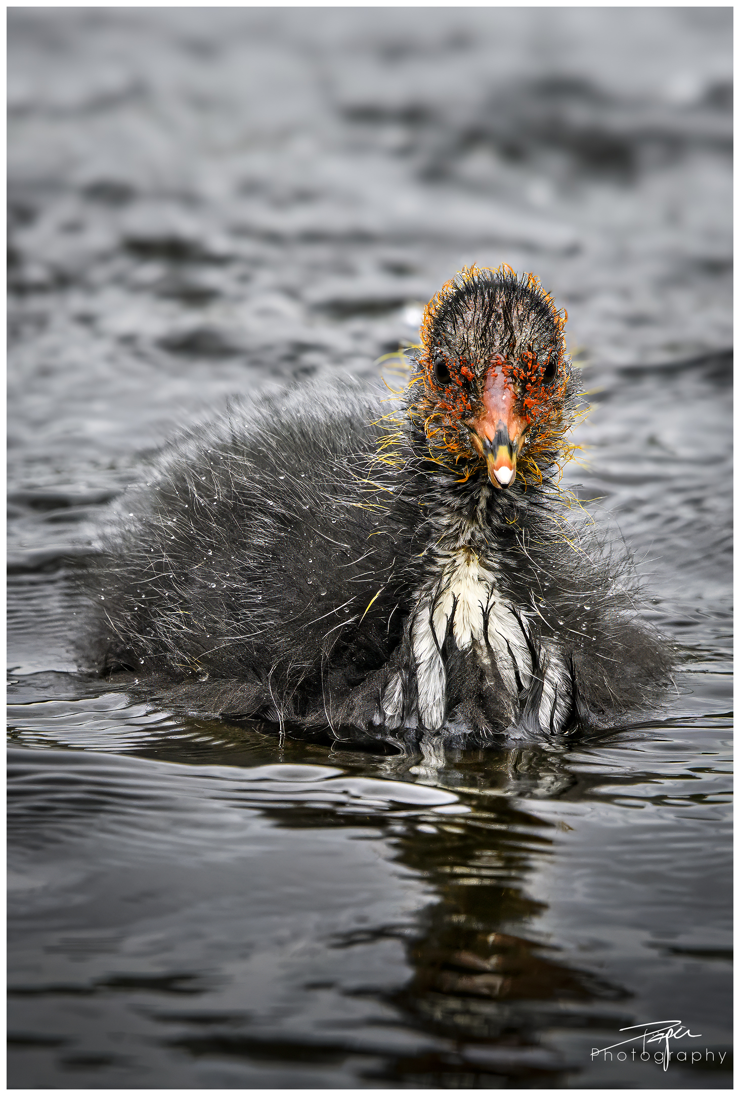 08.05.2024- Frühling