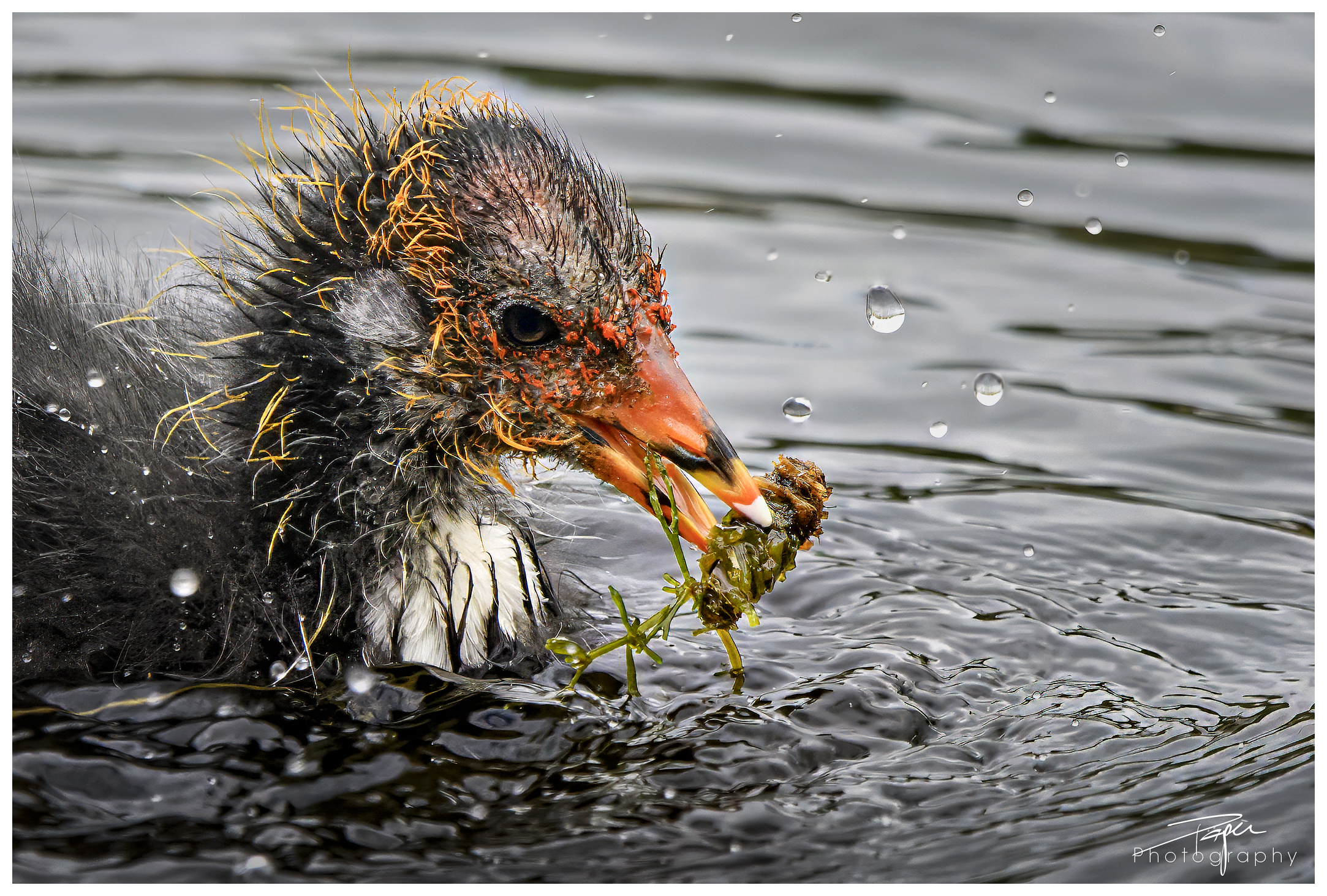 08.05.2024- Frühling