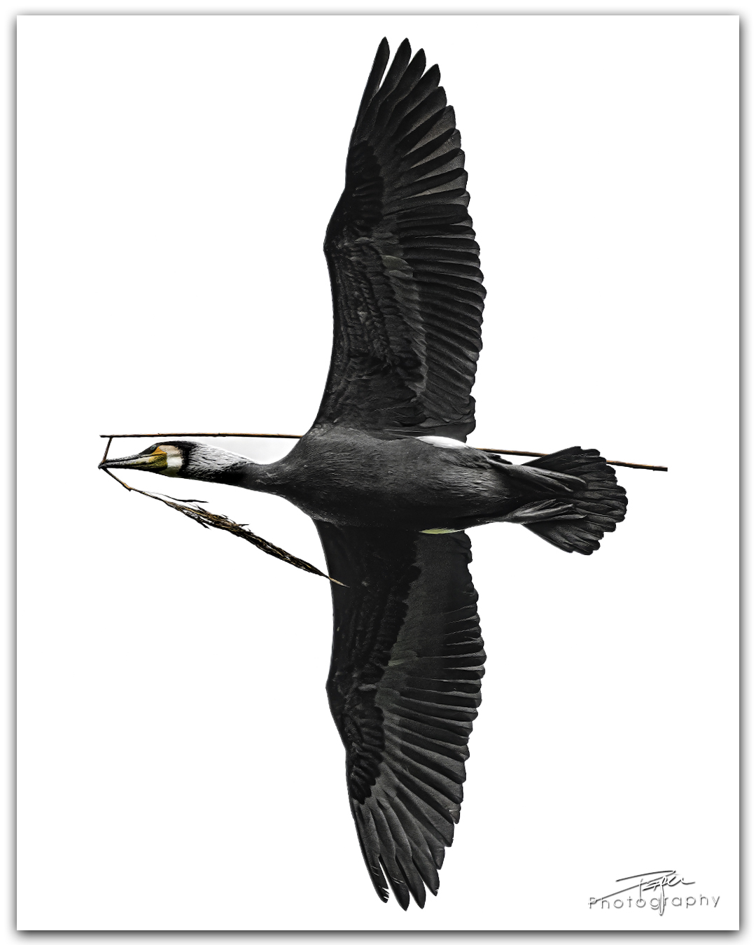 09.04.2024- Frühling