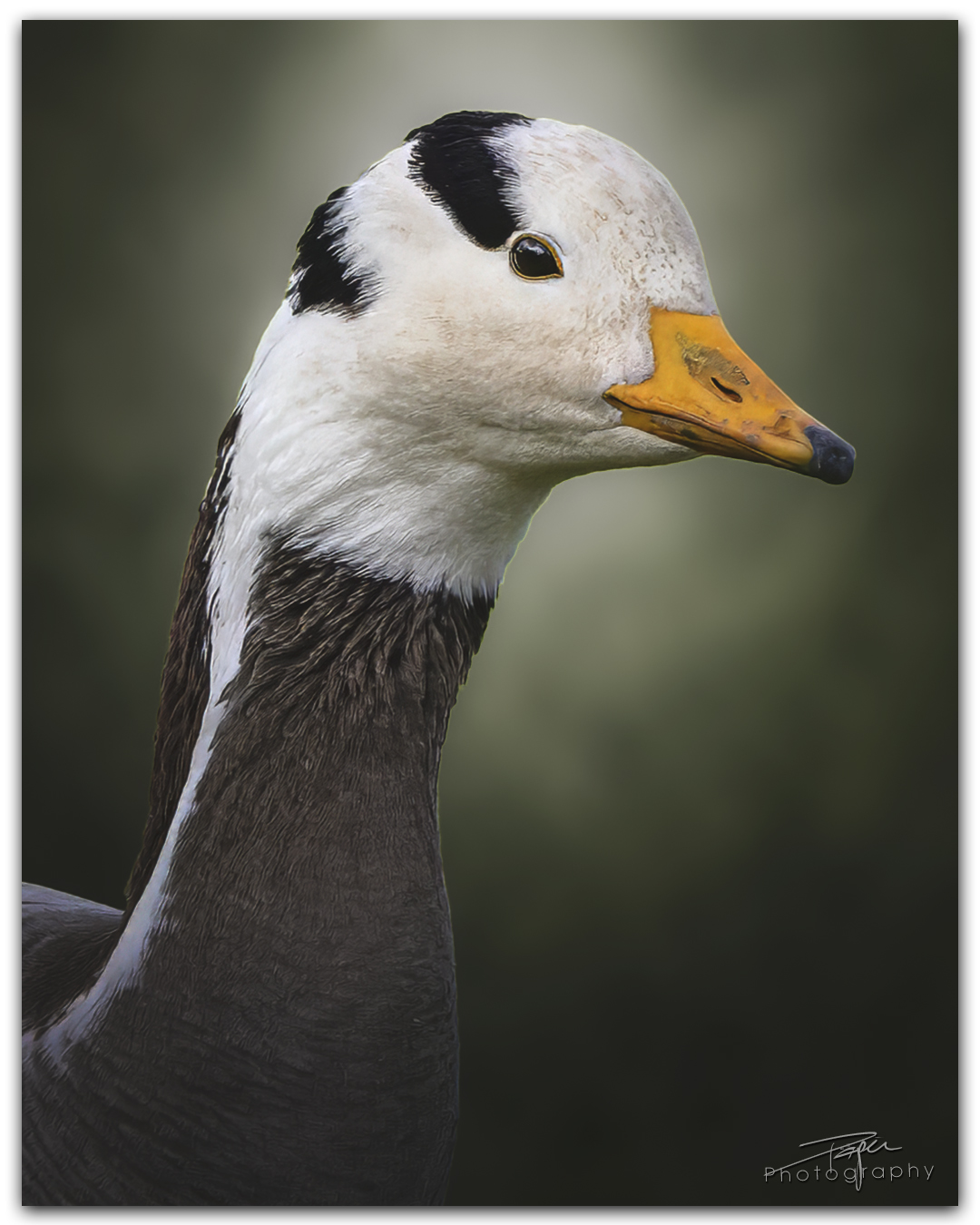 16.04.2024- Frühling