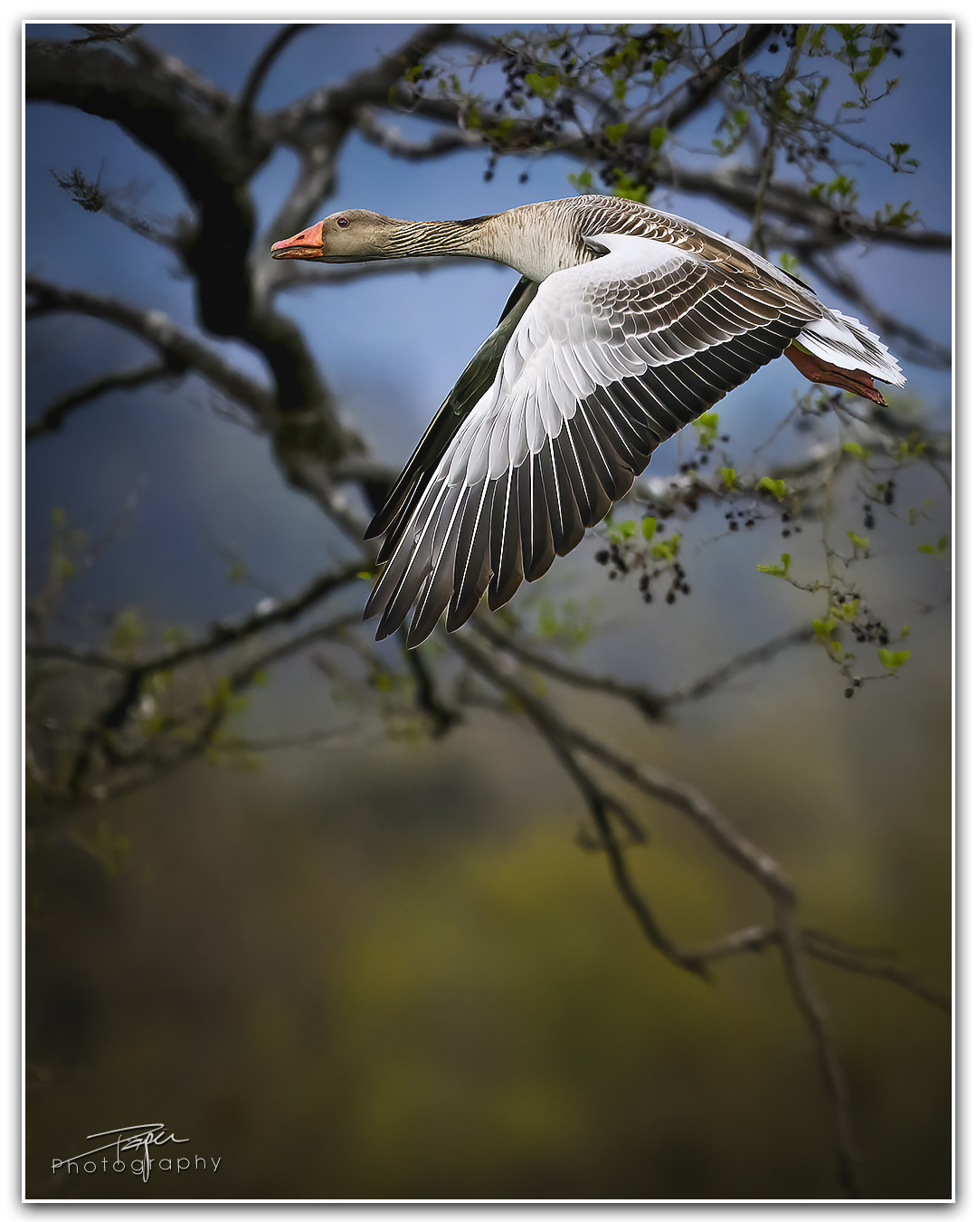 09.04.2024- Frühling