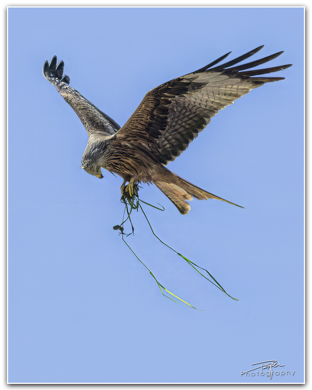 09.05.2024- Frühling