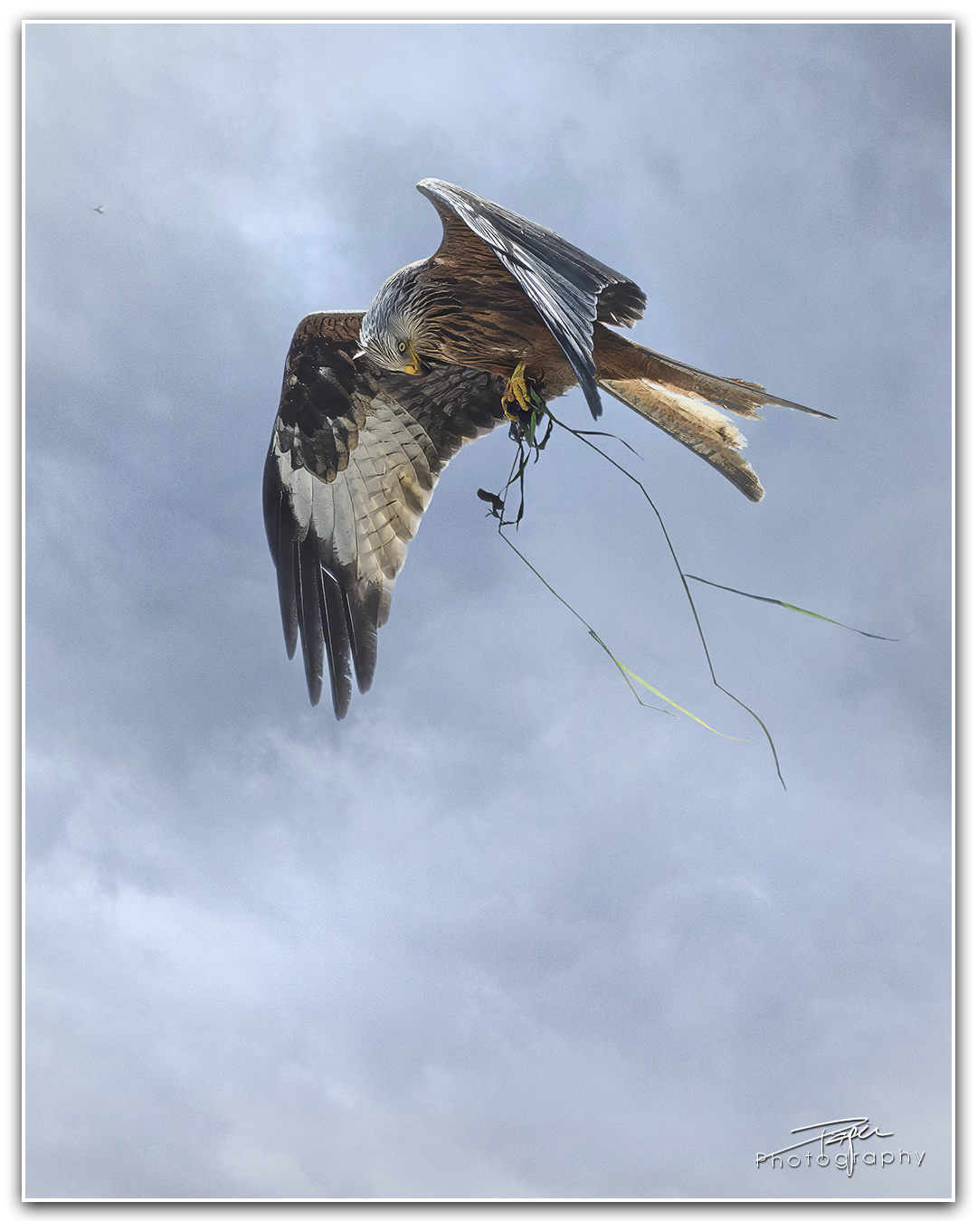 10.05.2024- Frühling