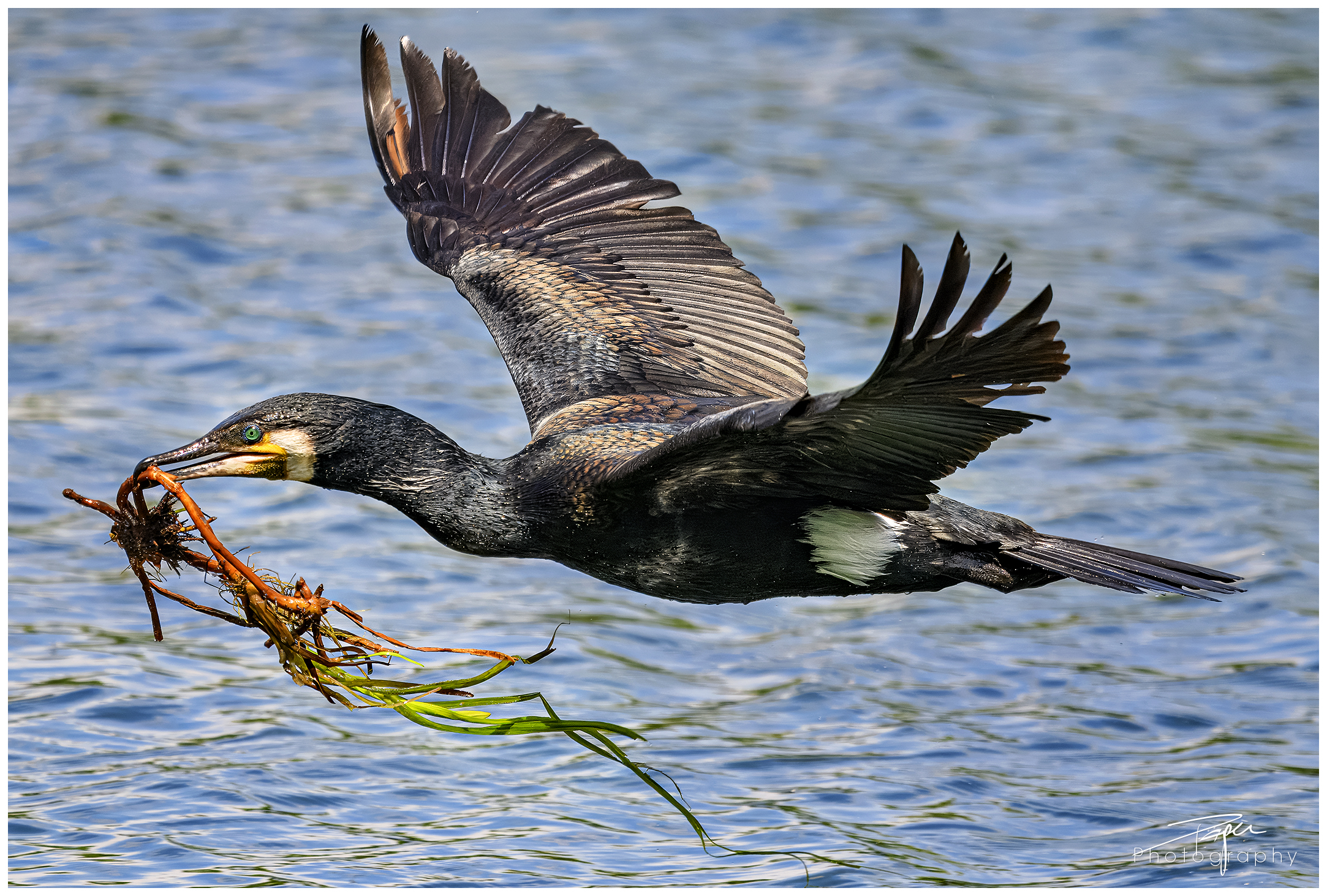 13.05.2024- Frühling